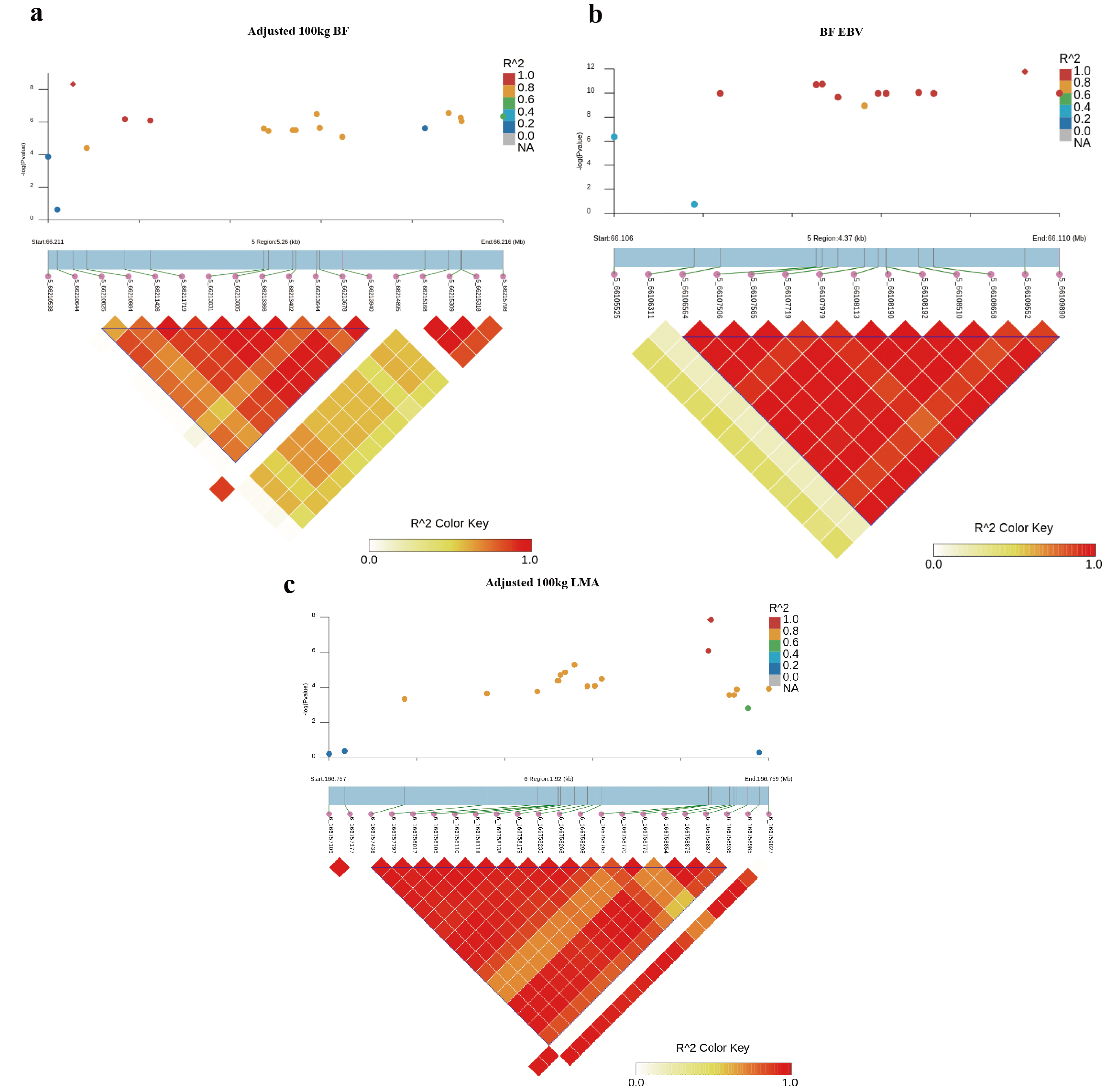 Animals 12 02911 g003