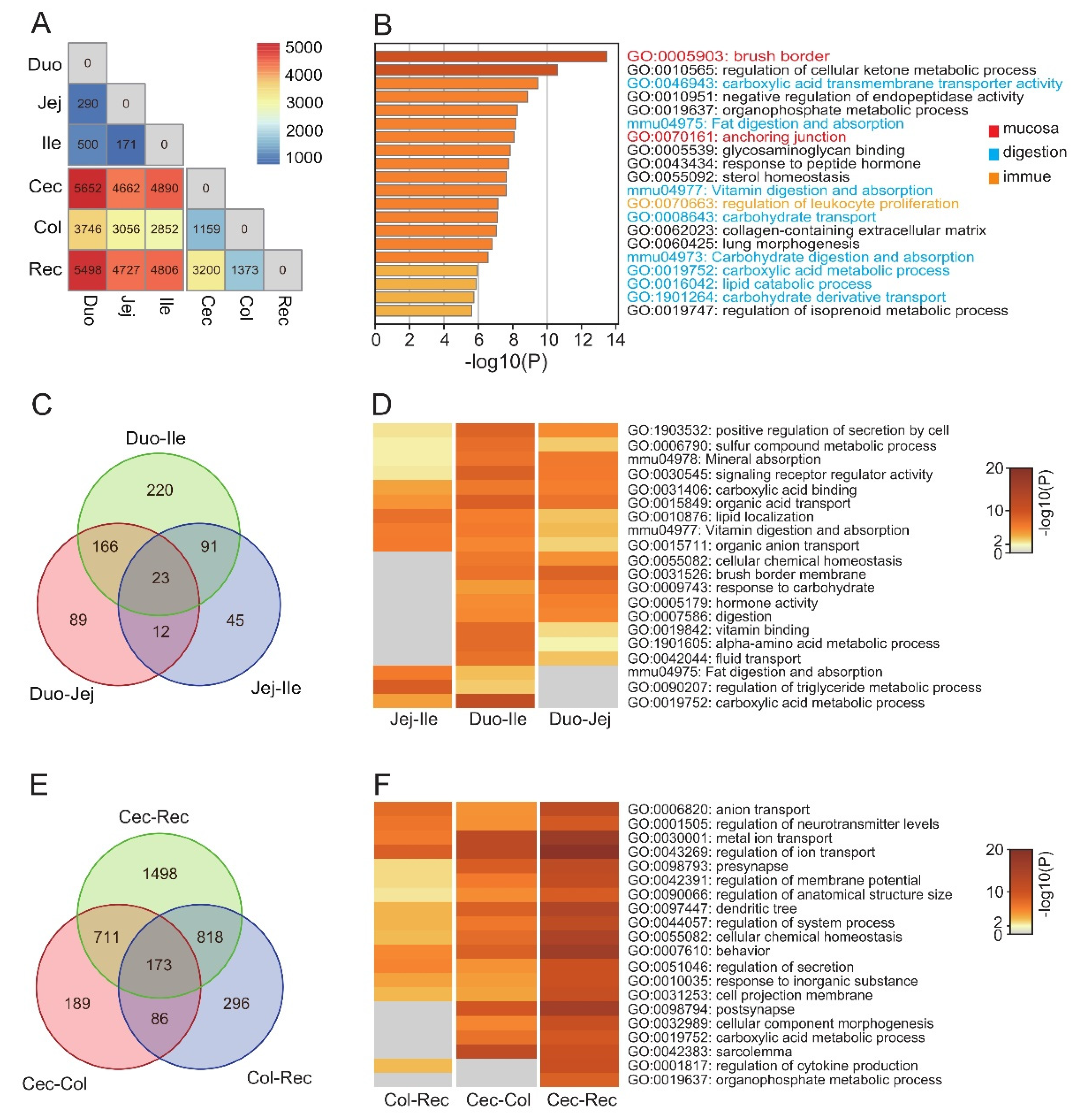 Animals 12 02925 g002 Animals 12 02925 g002