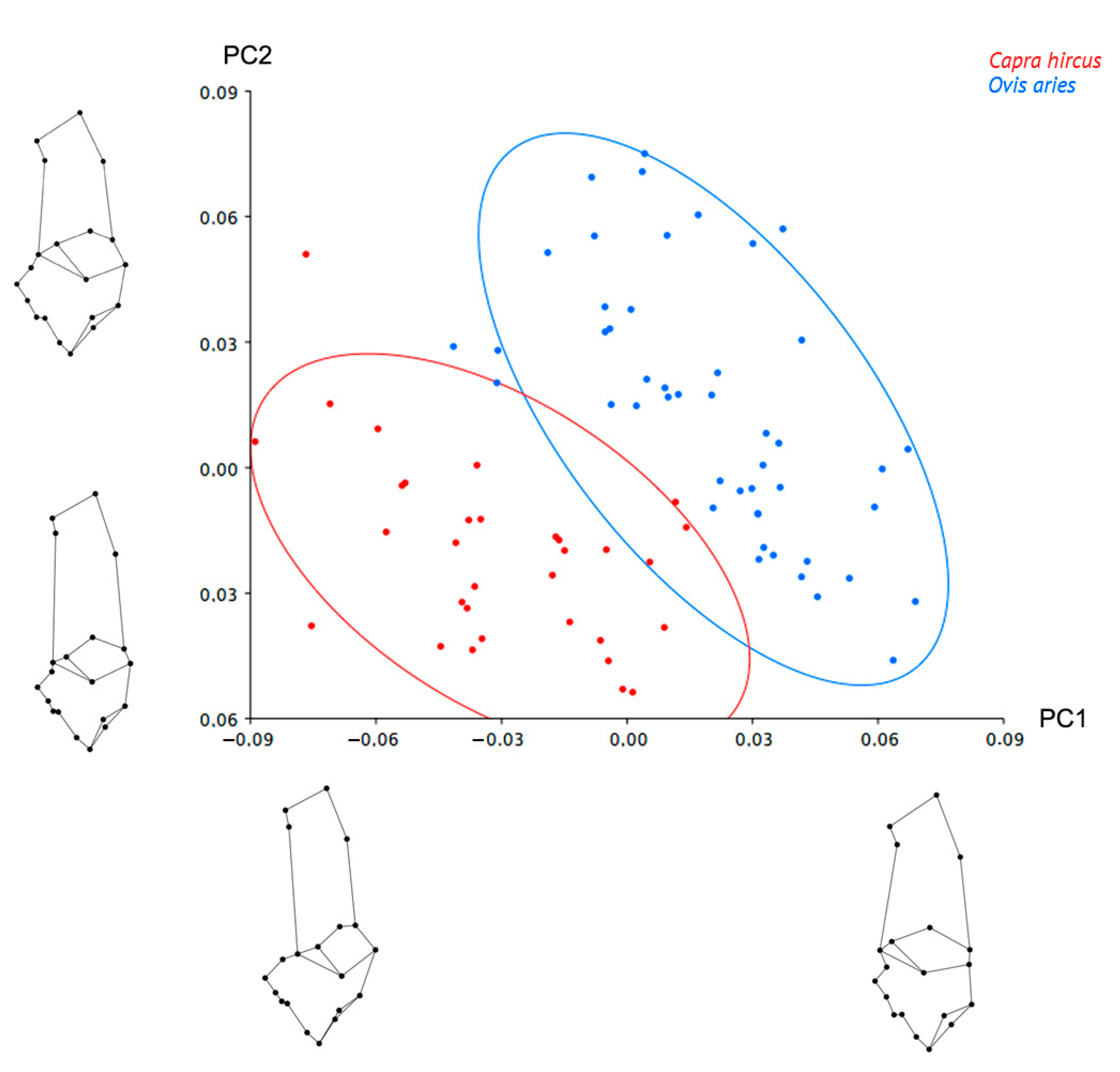 Animals 12 02945 g002 Animals 12 02945 g002
