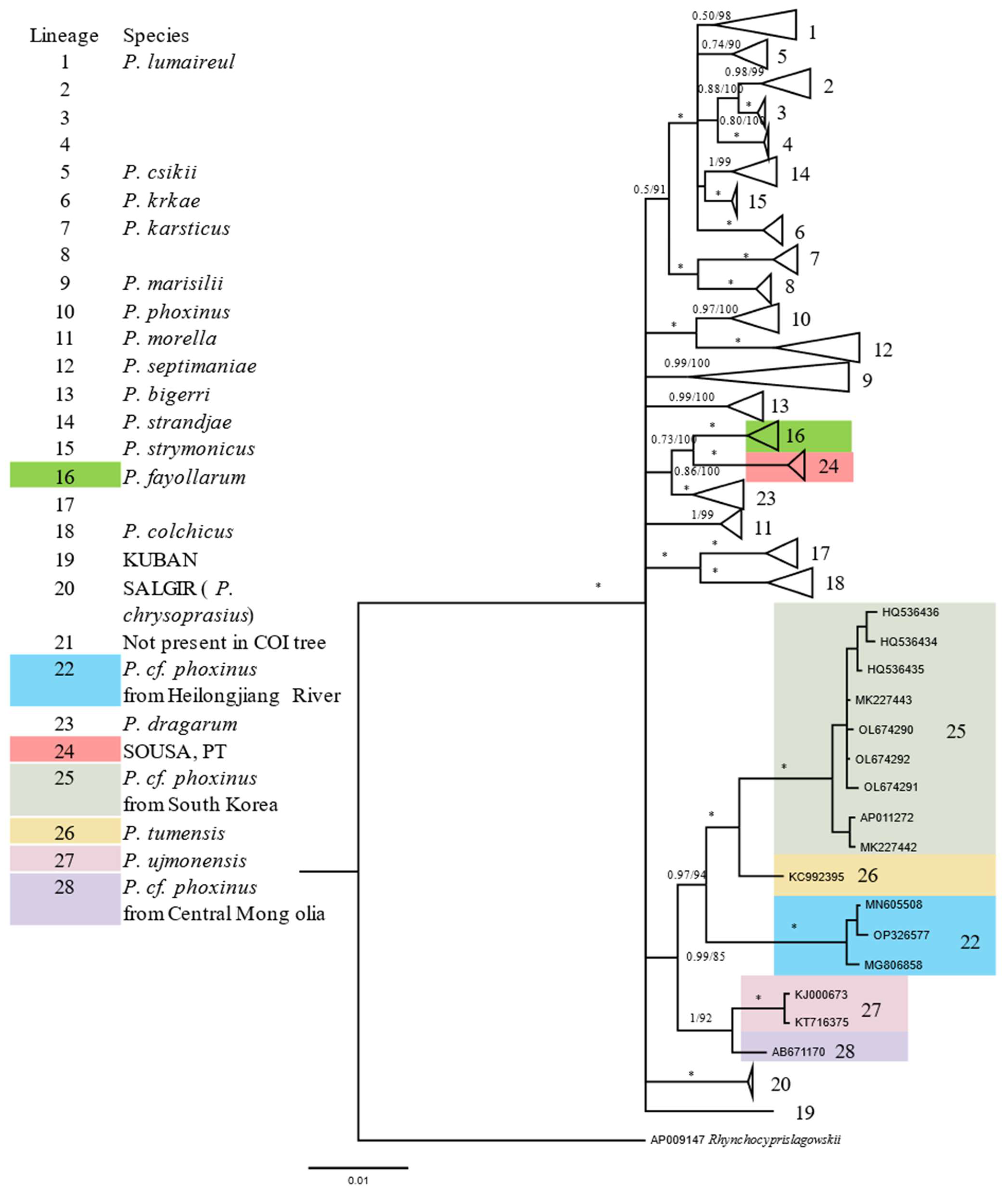 Animals 12 02960 g004 Animals 12 02960 g004