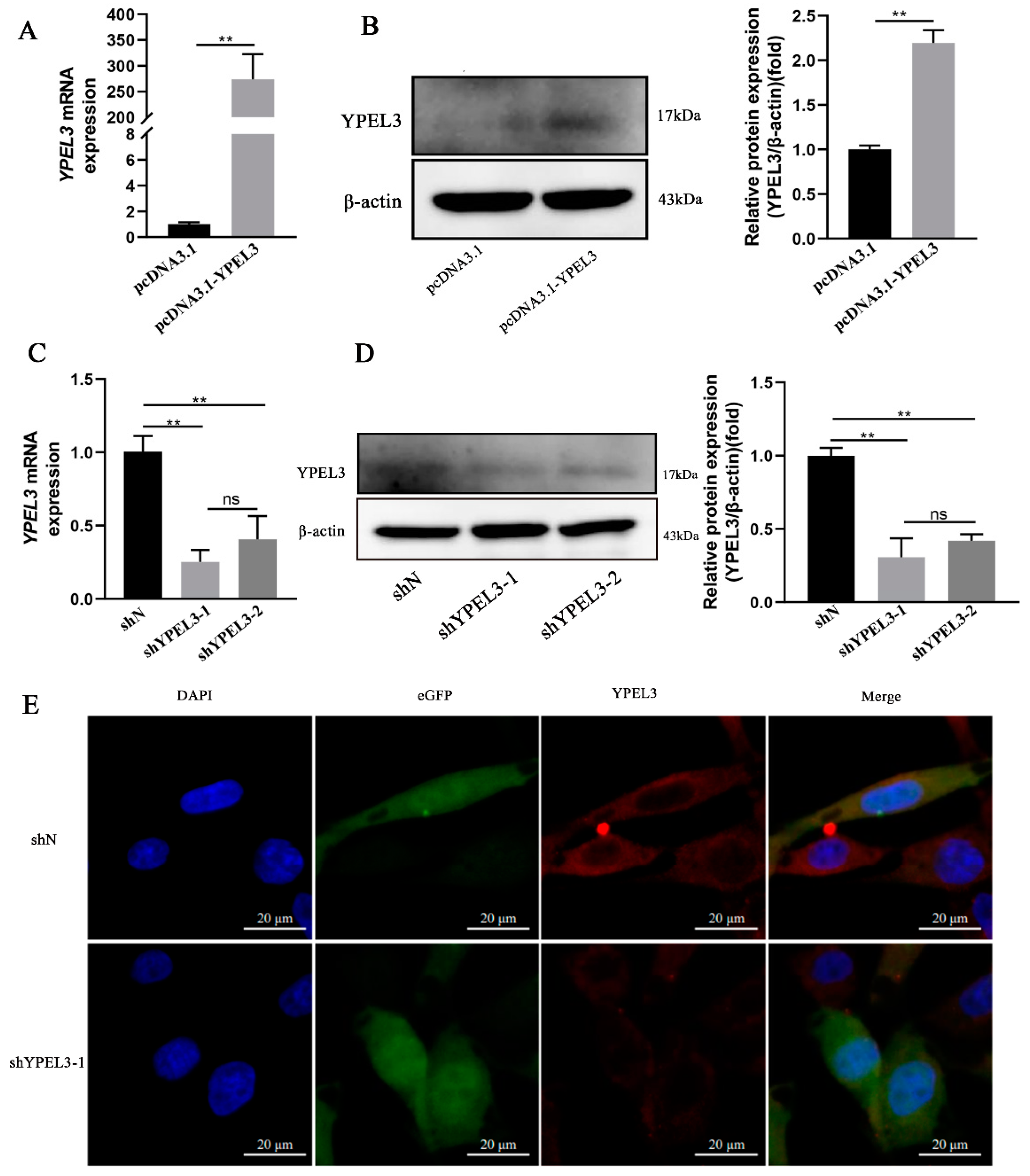 Animals 12 02973 g002 Animals 12 02973 g002
