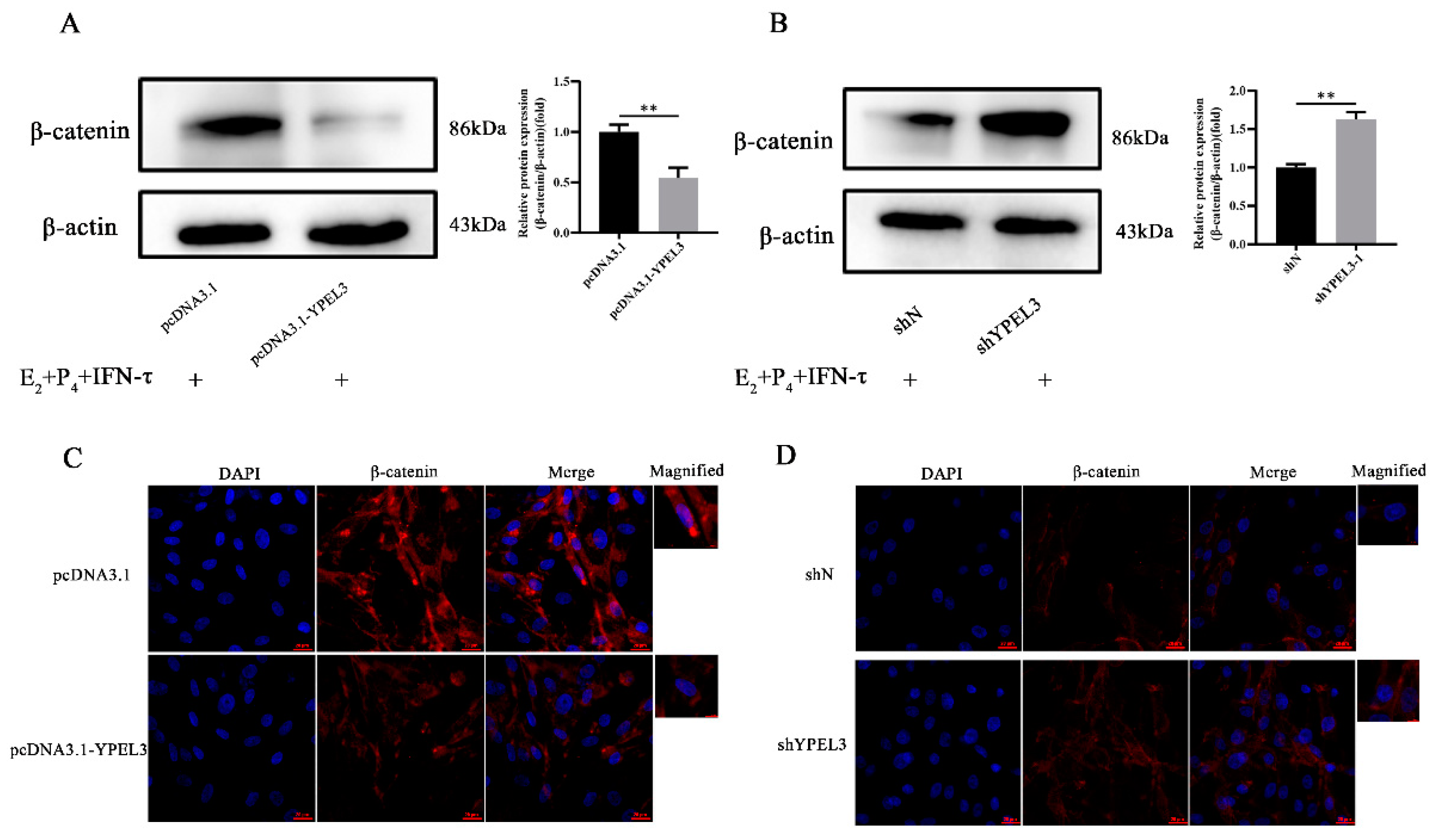 Animals 12 02973 g005 Animals 12 02973 g005