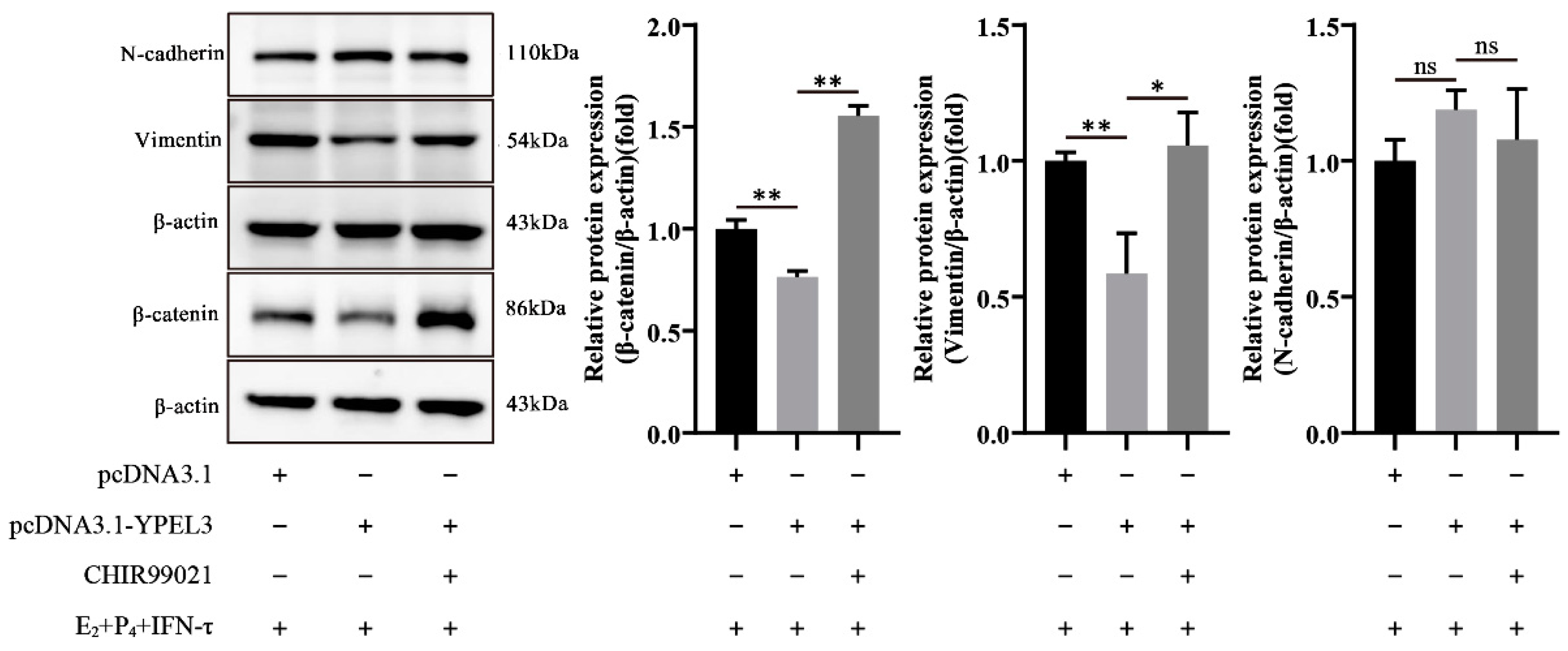 Animals 12 02973 g006 Animals 12 02973 g006