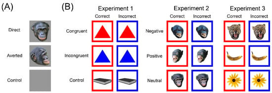 Animals | Free Full-Text | Evaluating Self-Directed Behaviours and