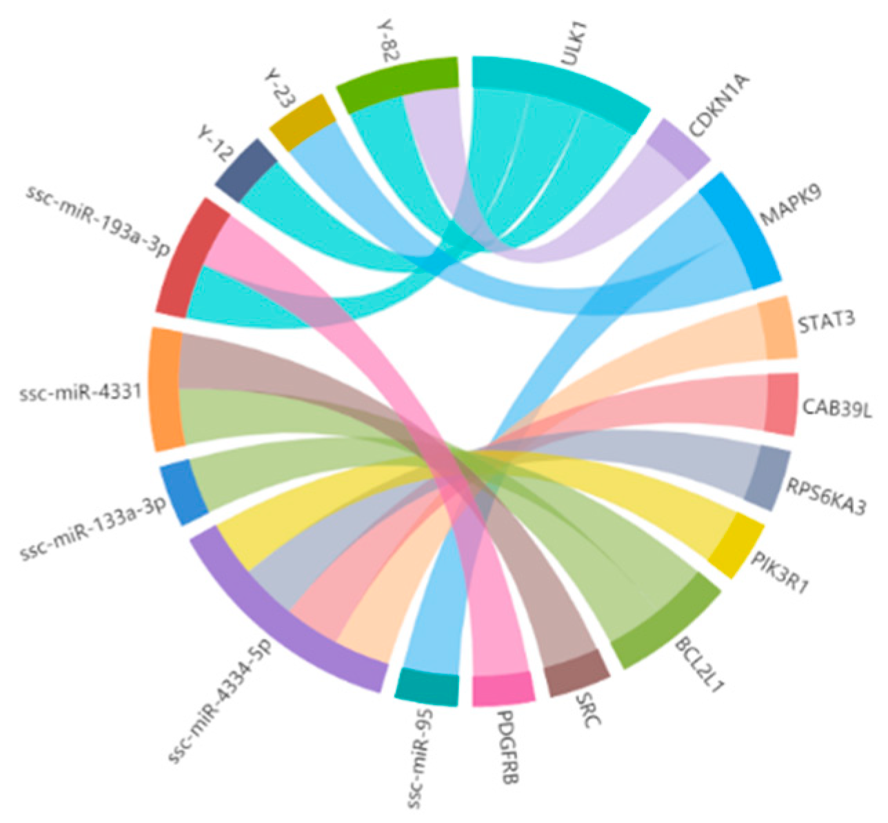 Animals | Free Full-Text | Identification of Potential miRNA–mRNA ...