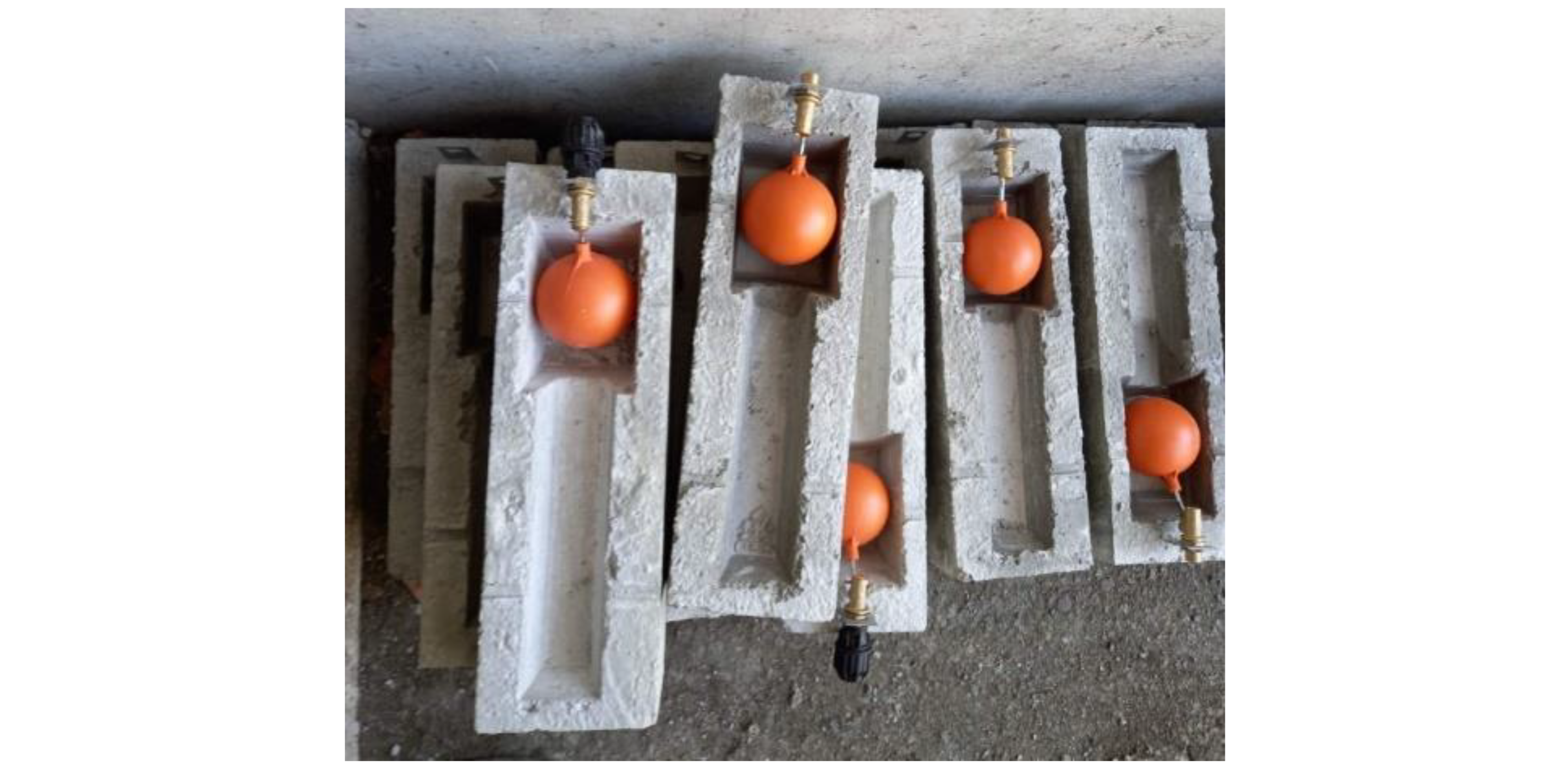 Animals 12 03060 g0a1b