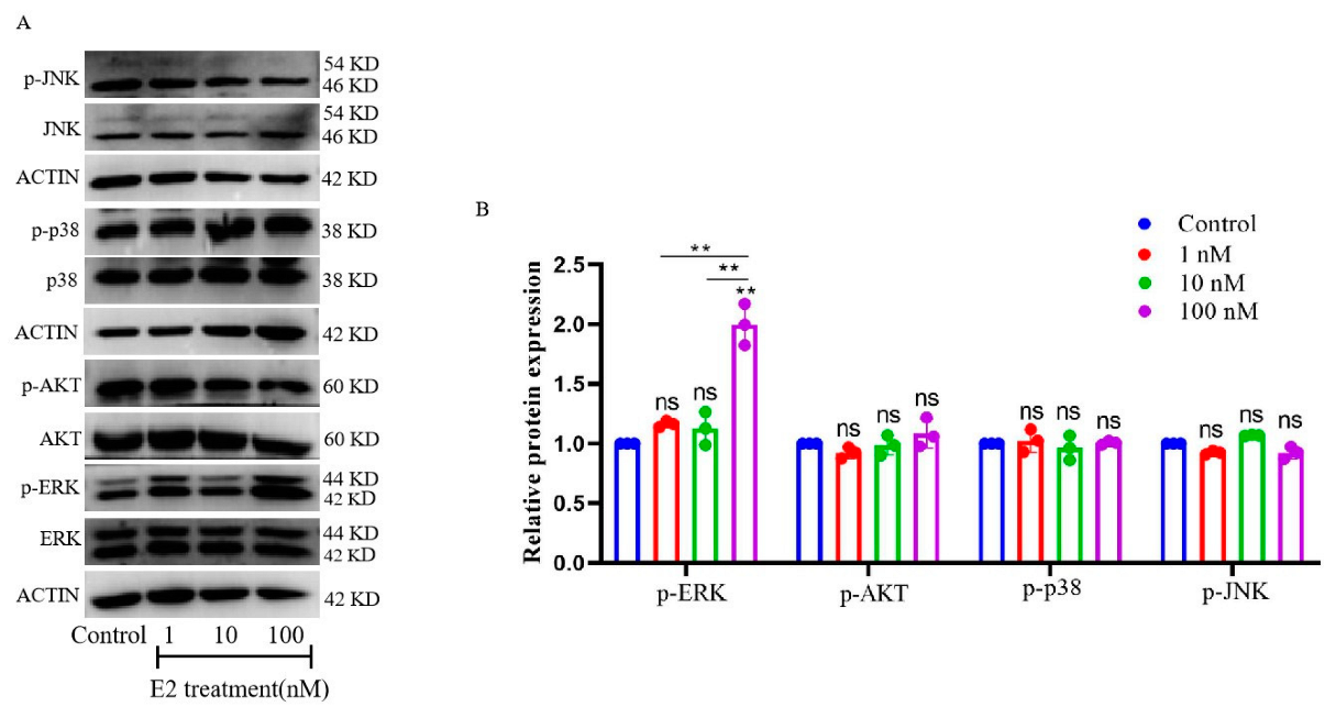 Animals 12 03077 g005 Animals 12 03077 g005