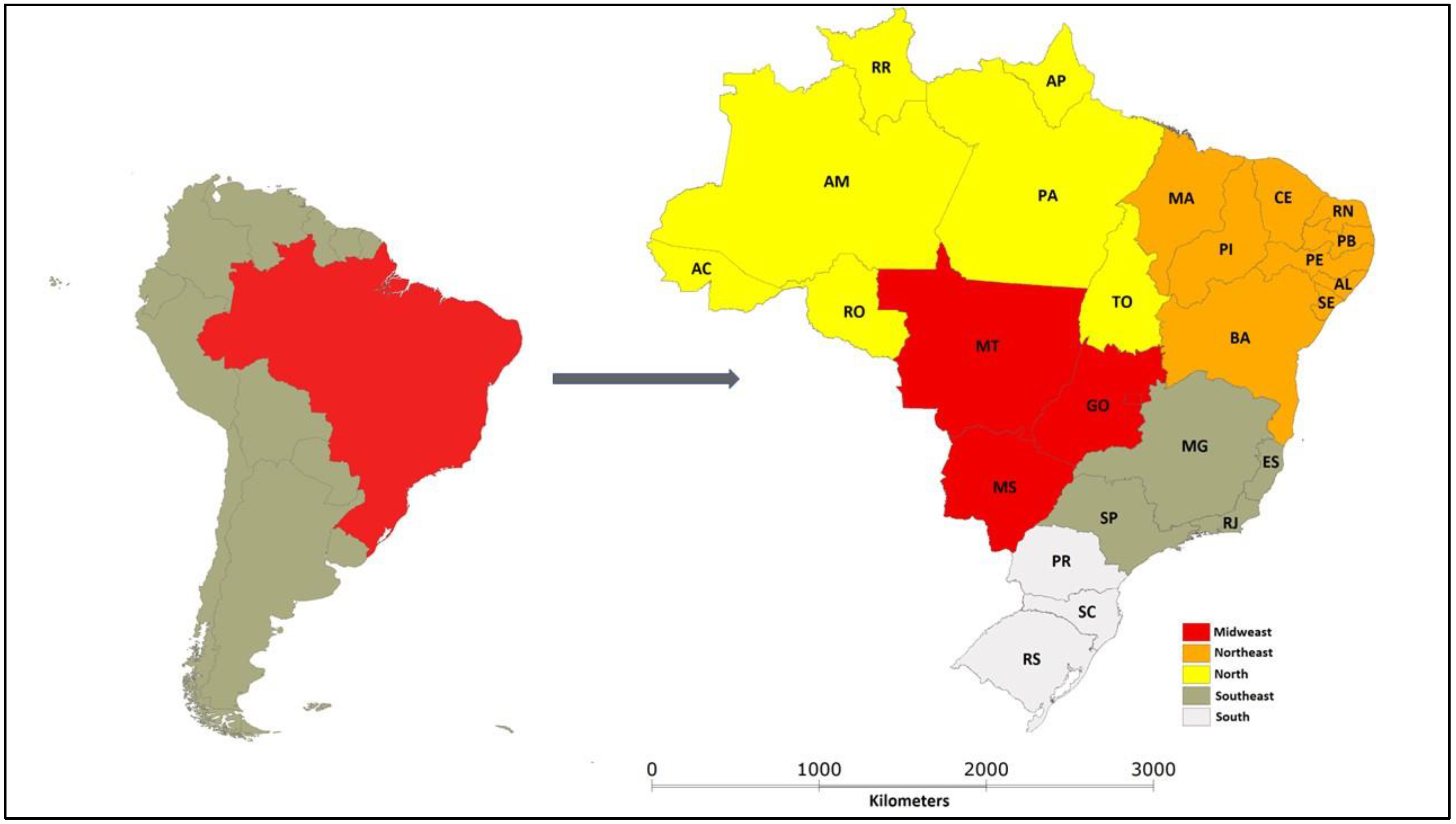 Animals | Free Full-Text | A Systematic Review and Meta-Analysis on the  Occurrence of Toxoplasmosis in Animals Slaughtered in Brazilian Abattoirs