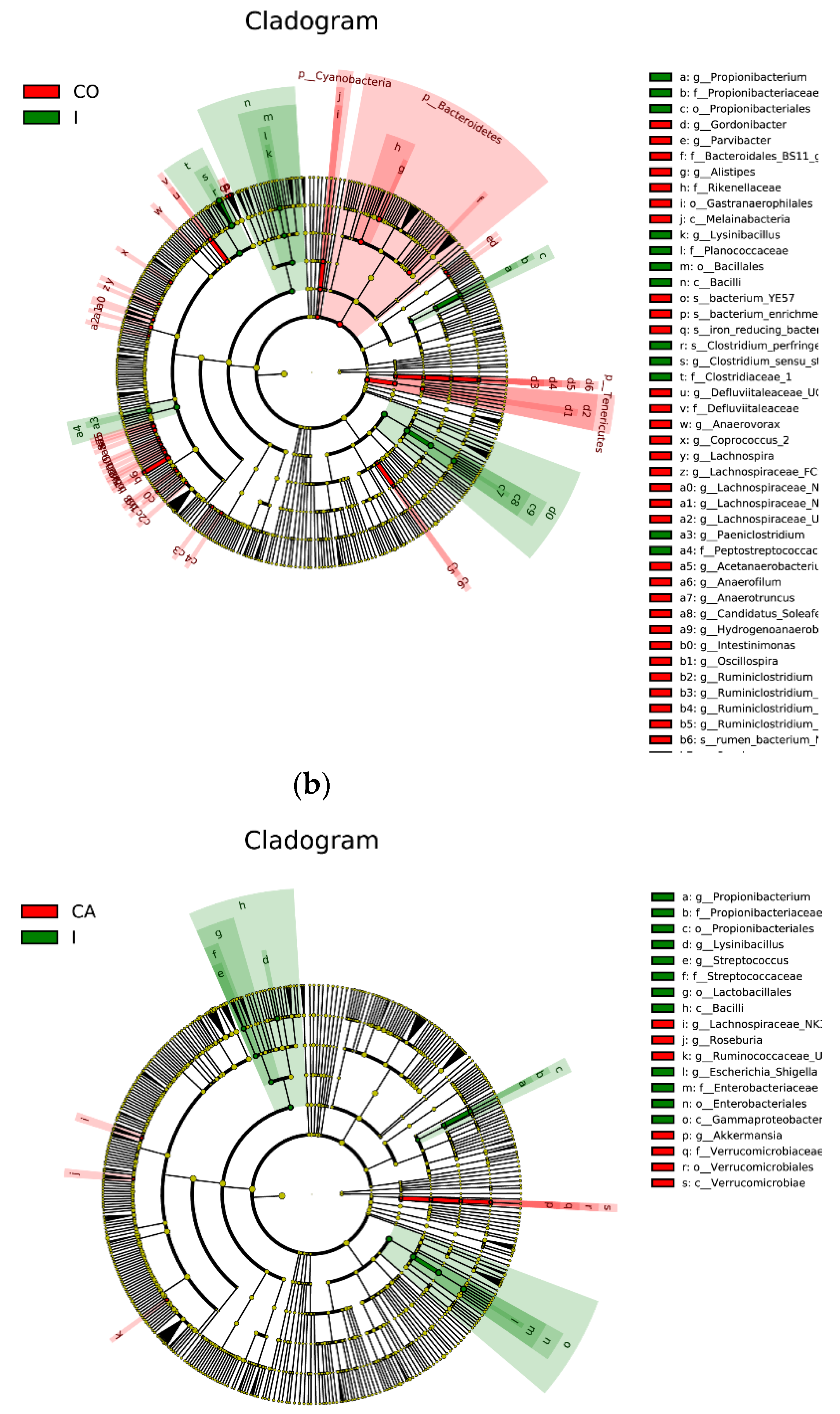 Animals 12 03129 g005b