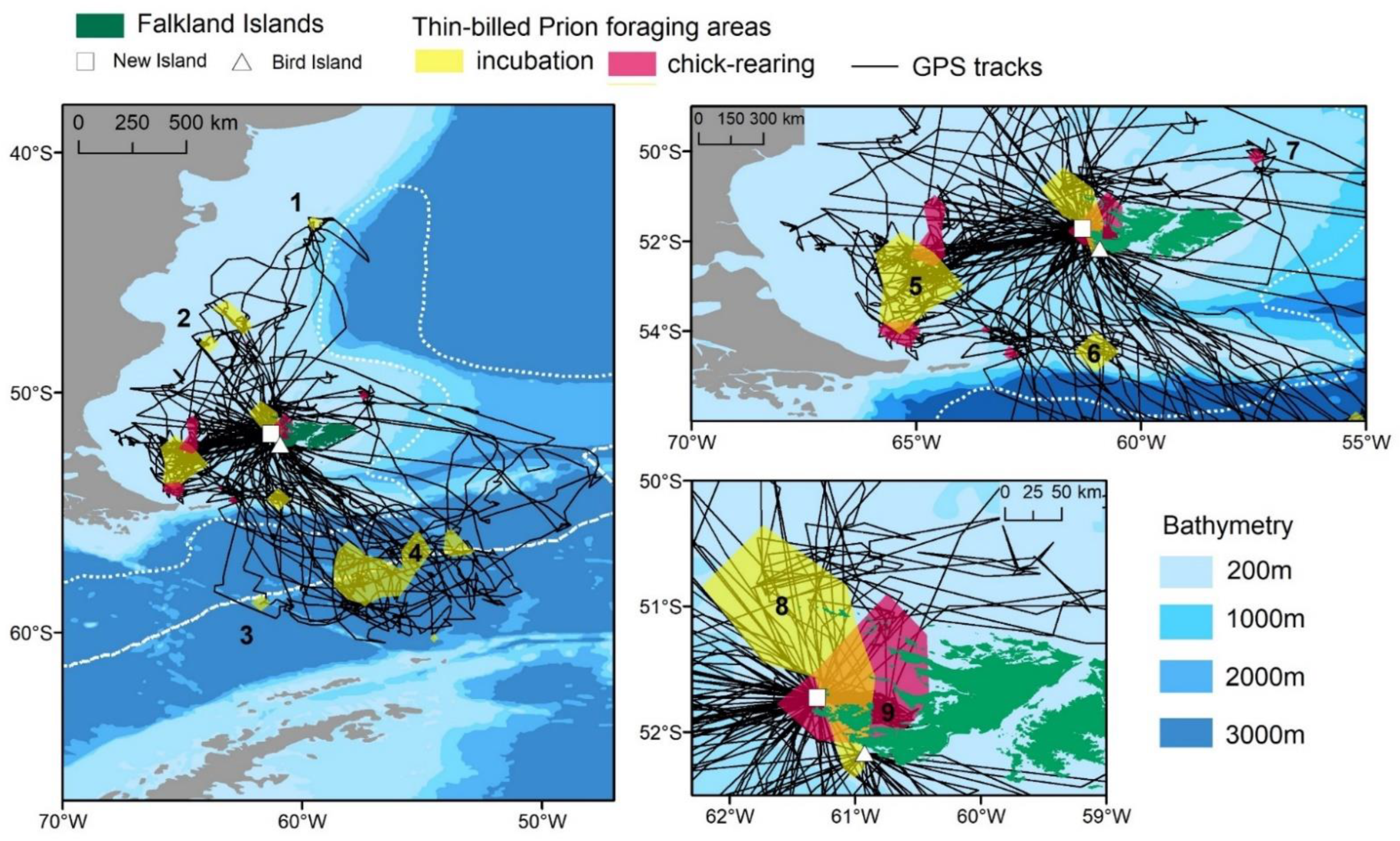 Animals 12 03131 g001