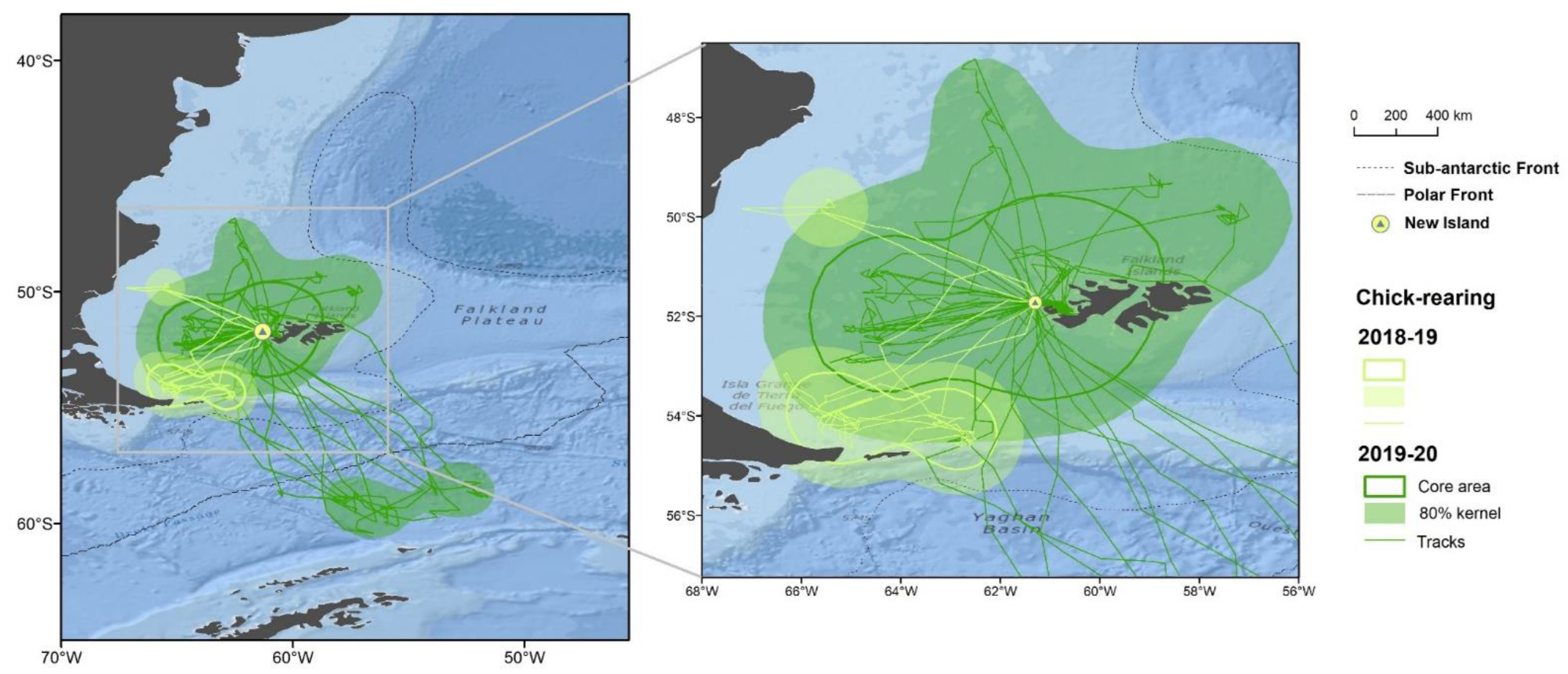 Animals 12 03131 g003