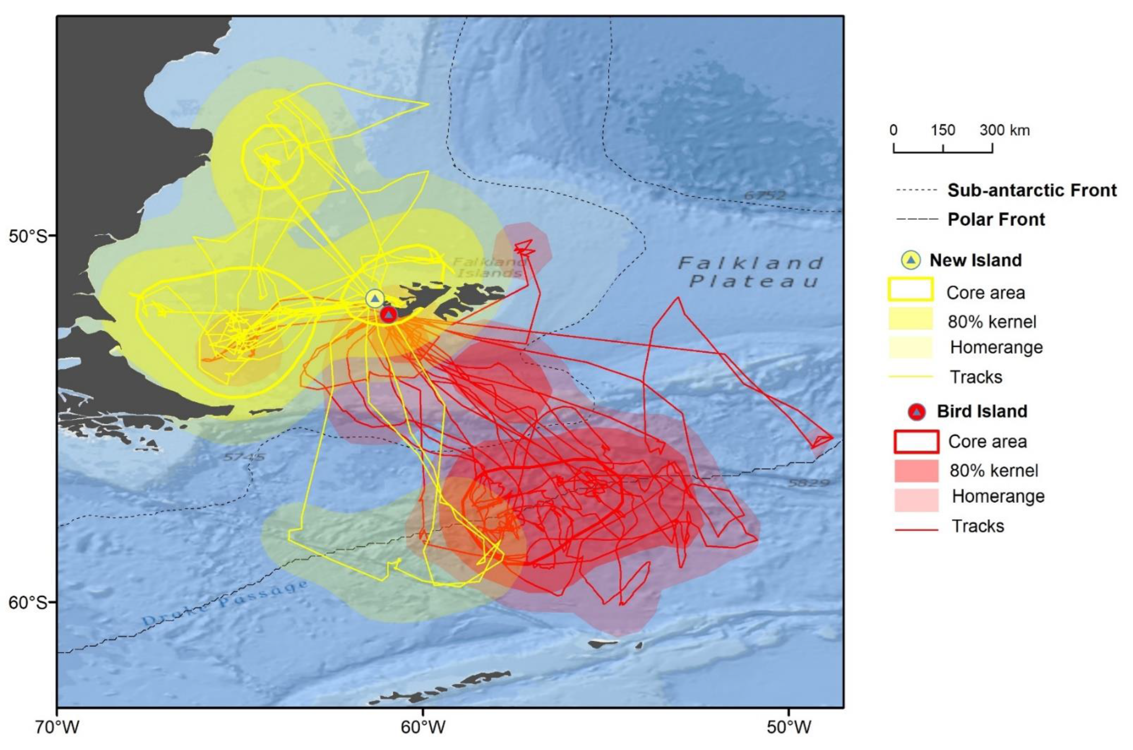 Animals 12 03131 g004