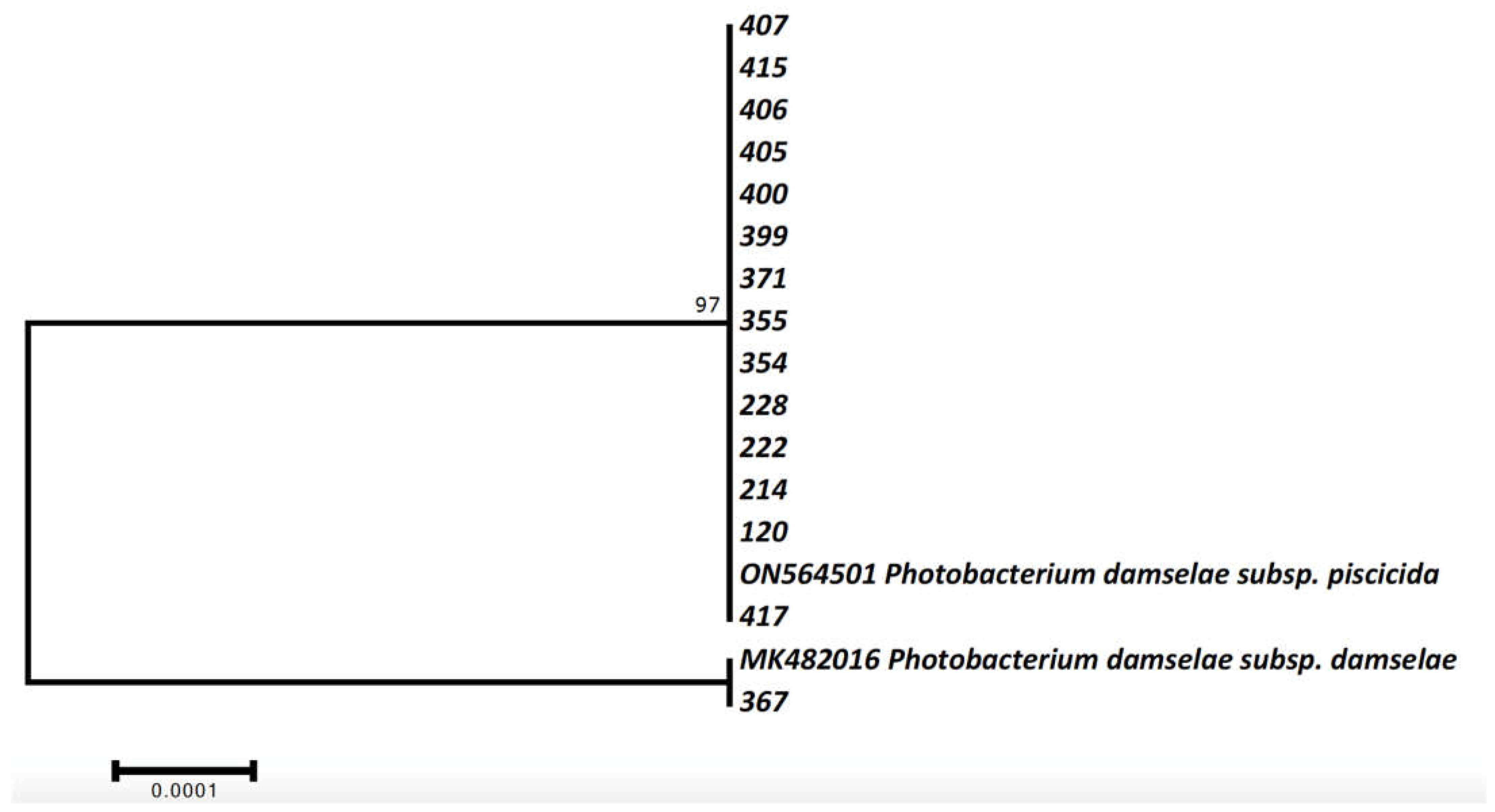 Animals 12 03133 g004