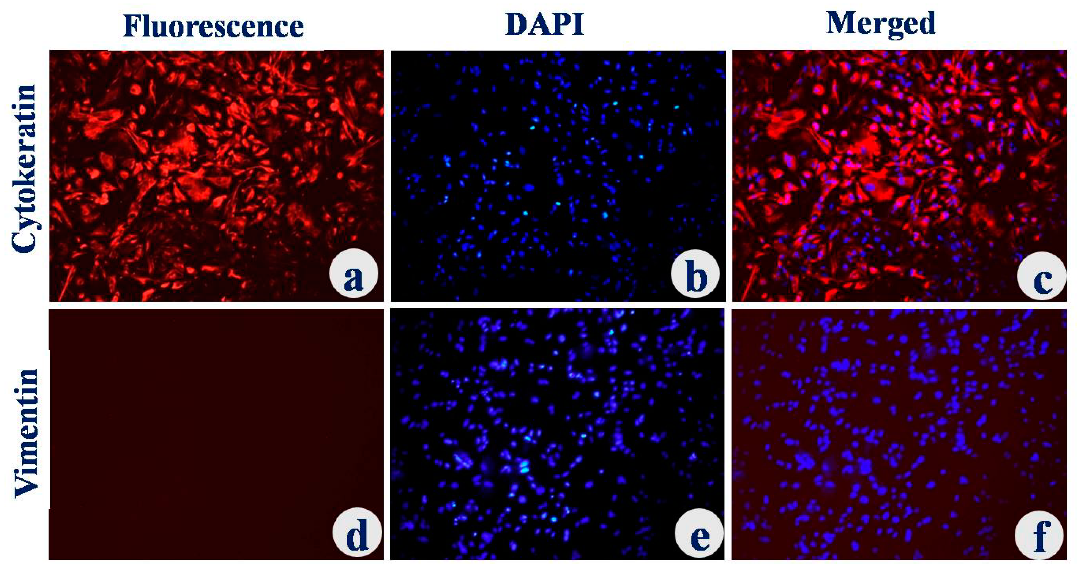 Animals 12 03138 g002 Animals 12 03138 g002