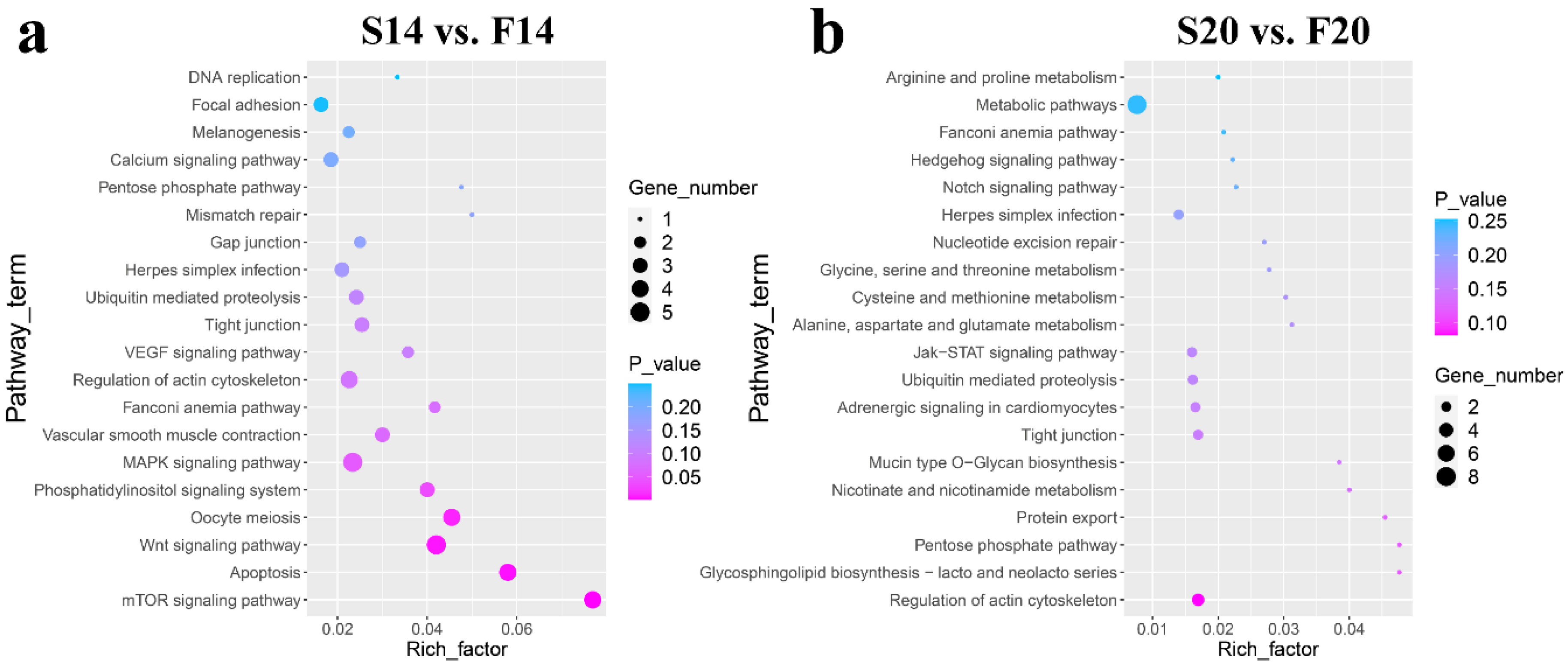 Animals 12 03166 g004 Animals 12 03166 g004