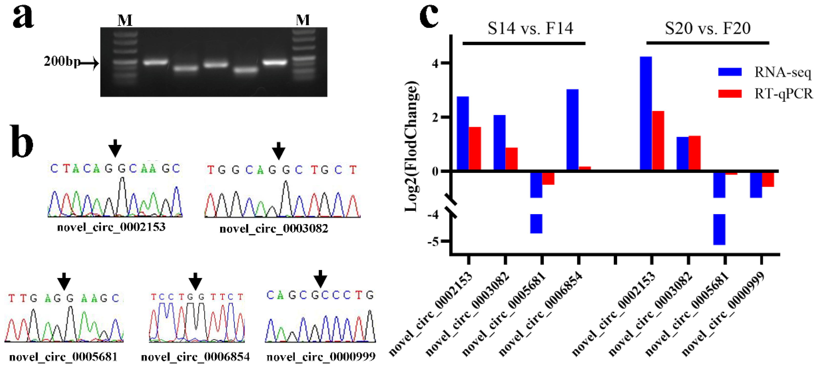 Animals 12 03166 g006 Animals 12 03166 g006