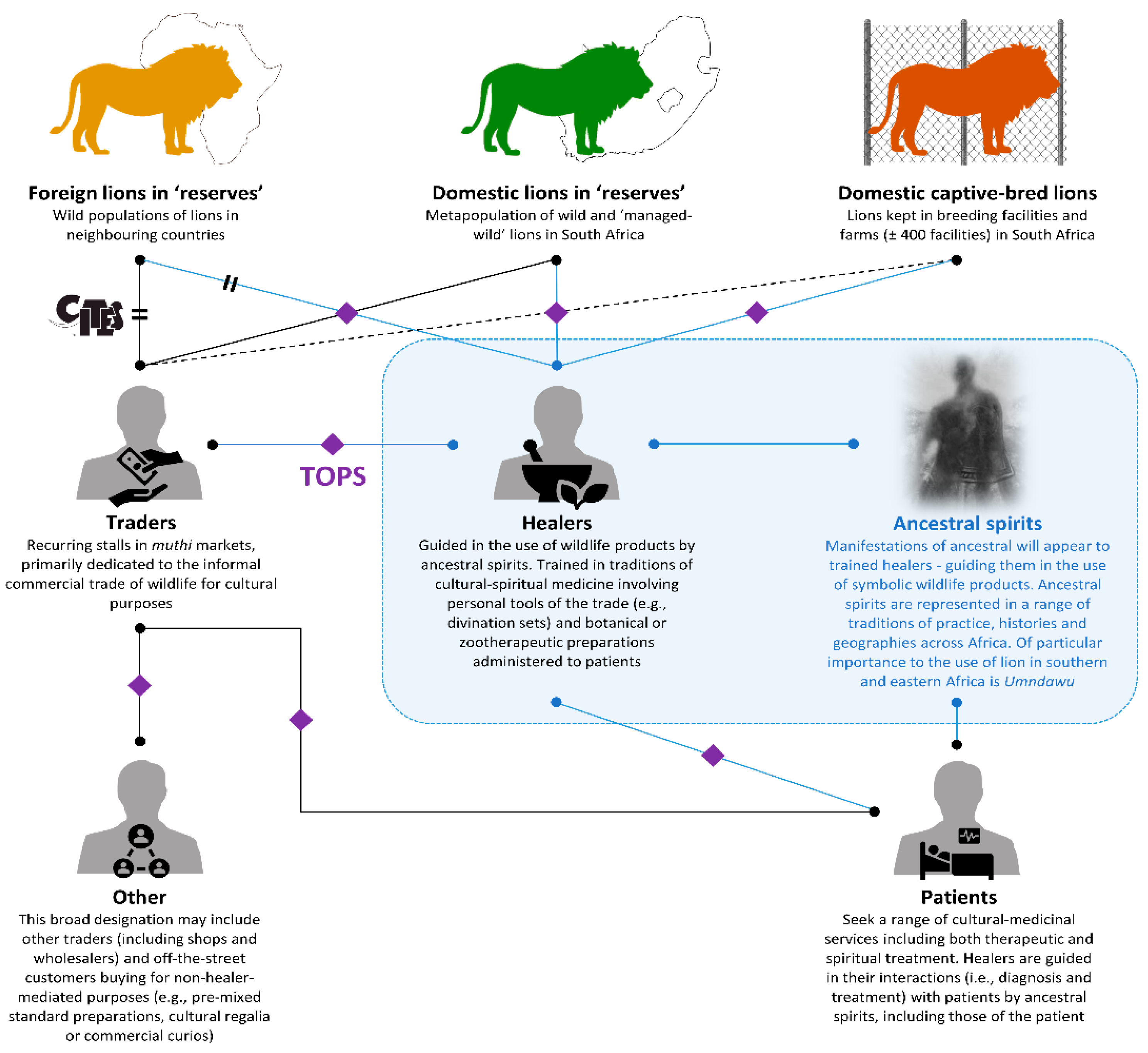 Animals 12 03169 g008 Animals 12 03169 g008