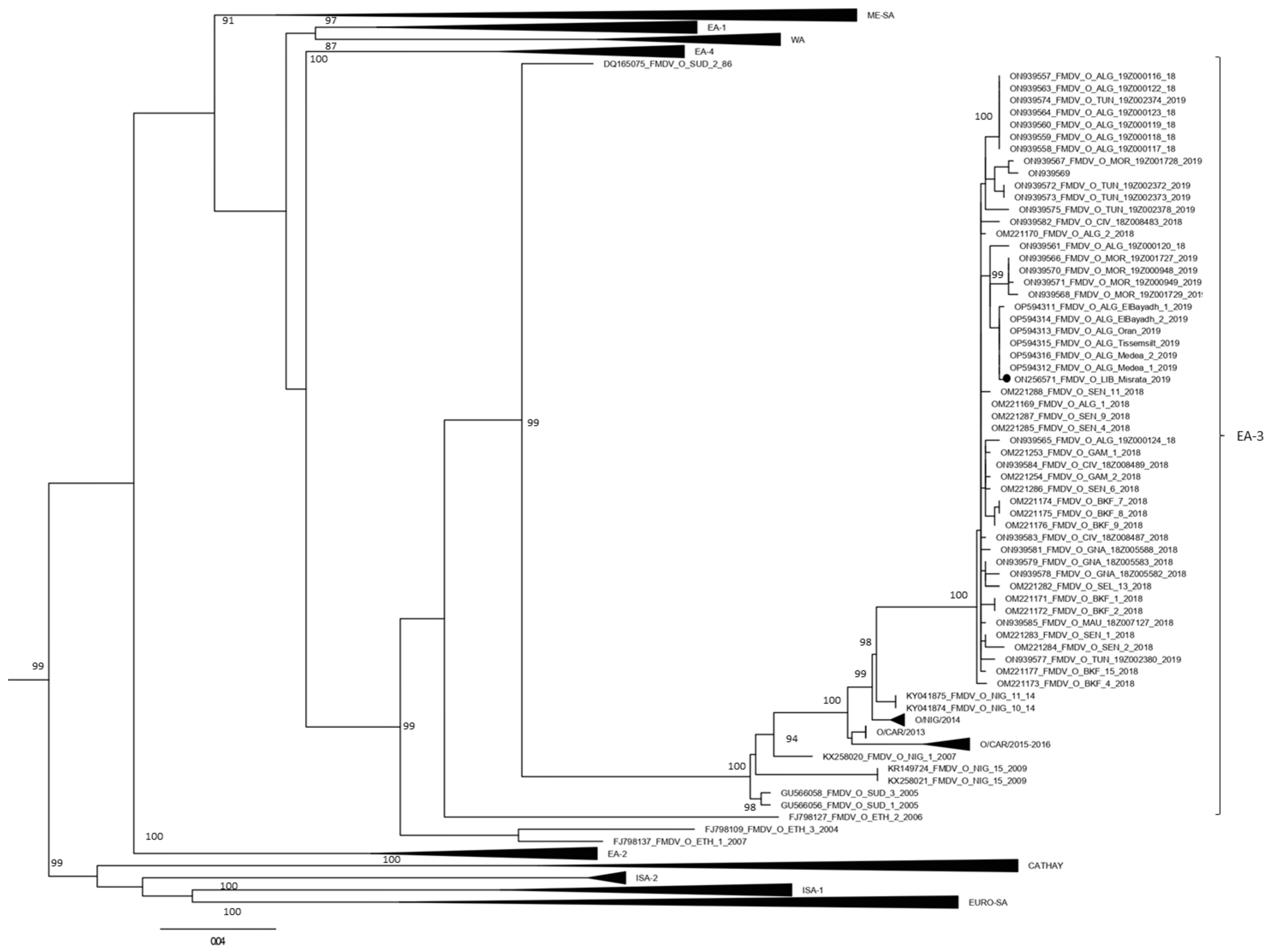 Animals 12 03198 g001 Animals 12 03198 g001