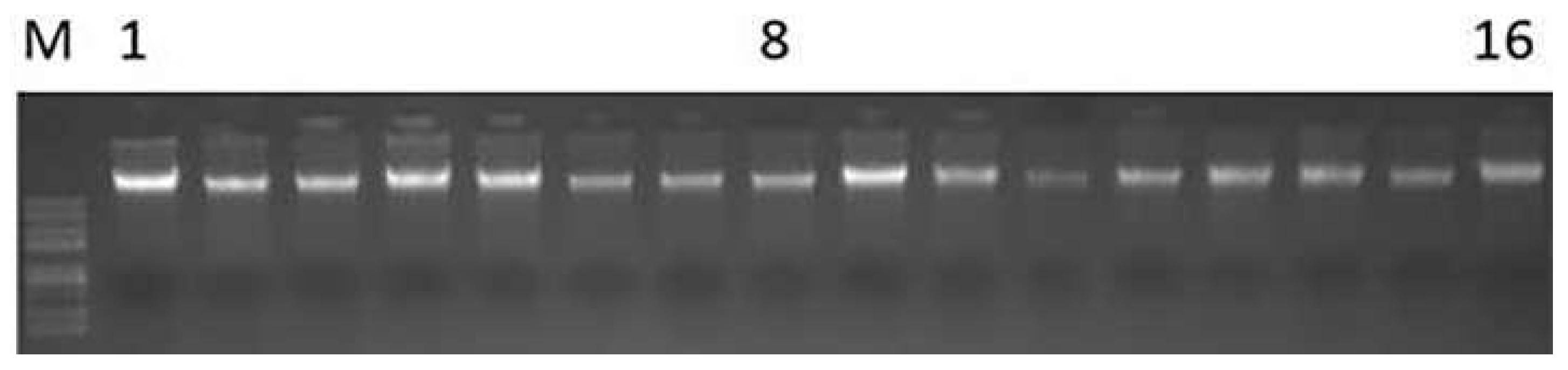 Animals 12 03214 g001 Animals 12 03214 g001