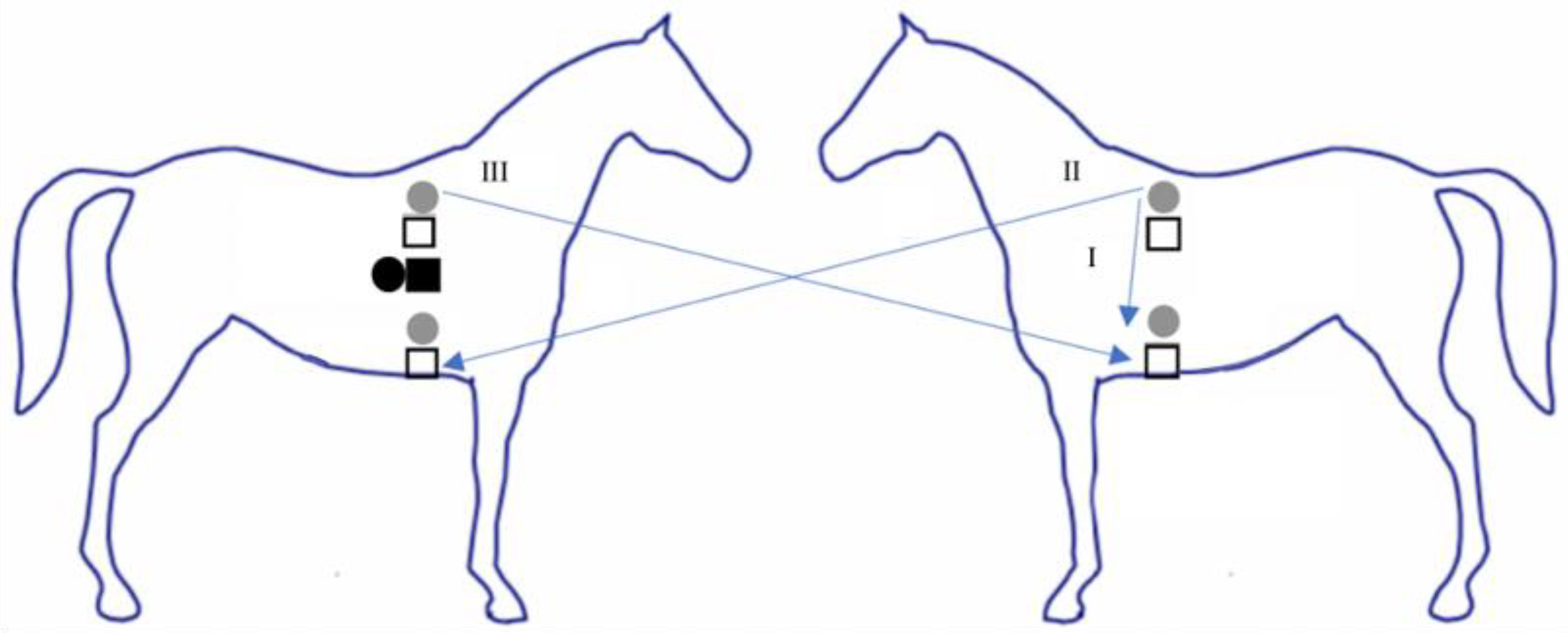 Animals 12 03254 g002