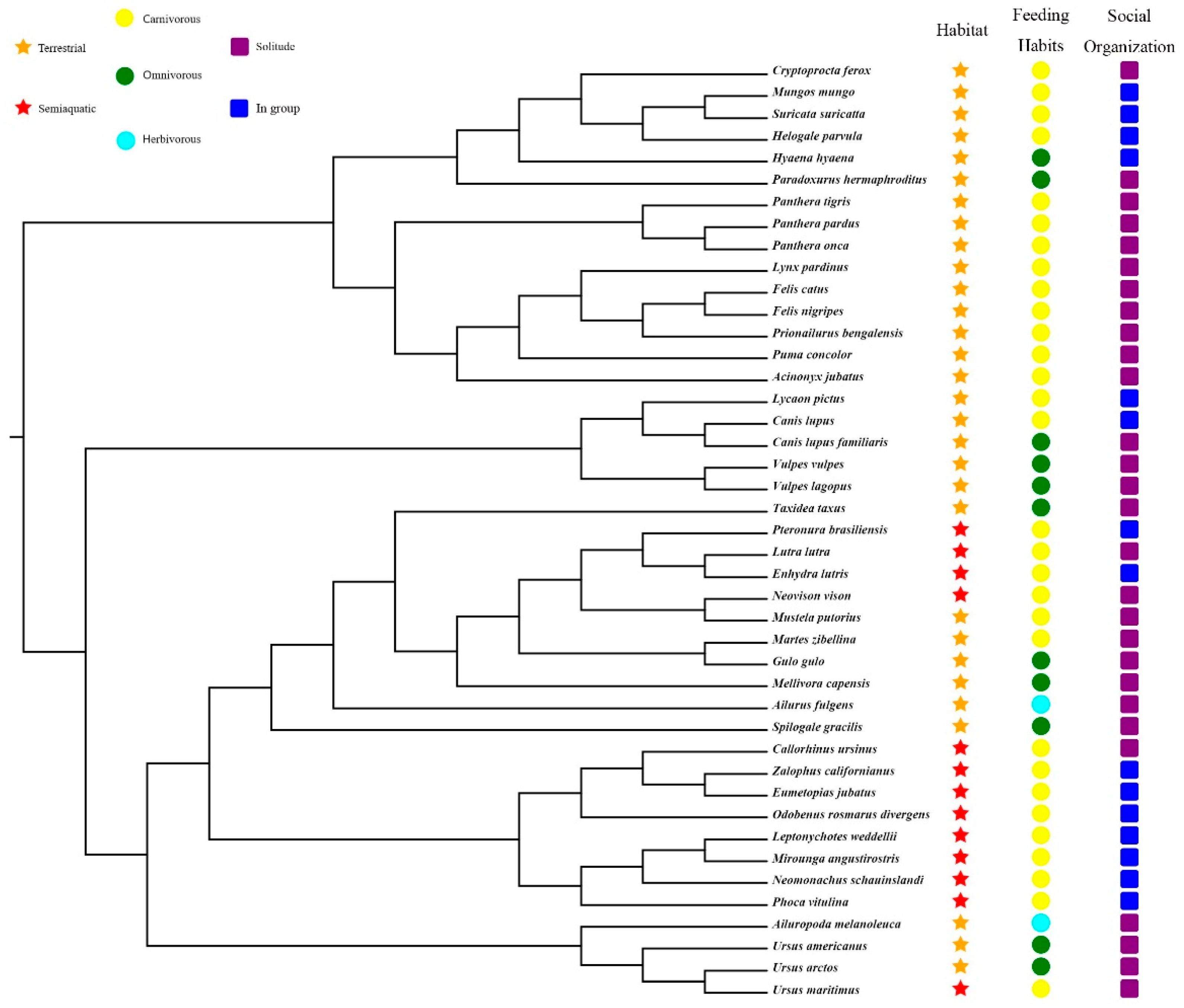 Animals 12 03331 g001 Animals 12 03331 g001