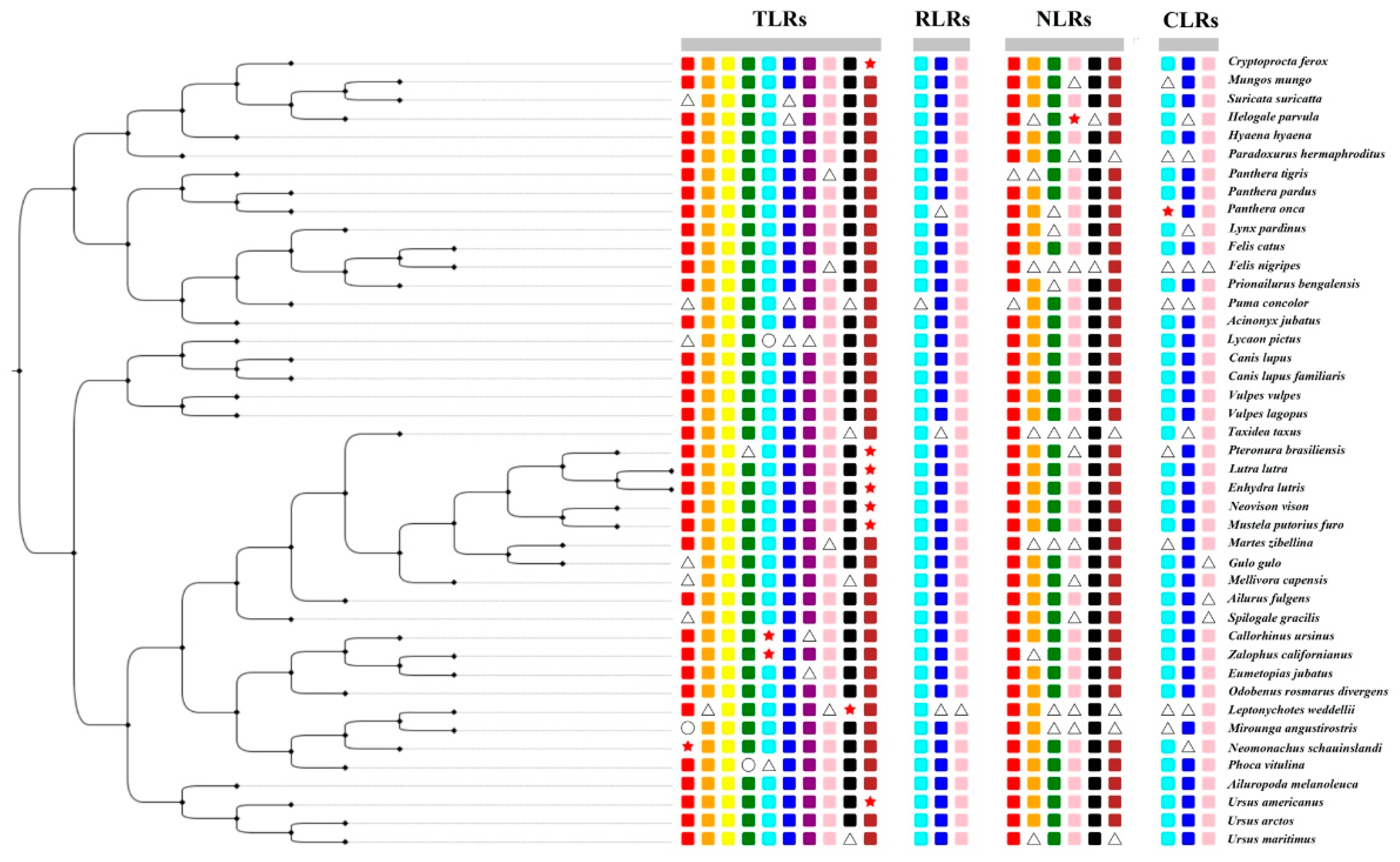 Animals 12 03331 g002 Animals 12 03331 g002