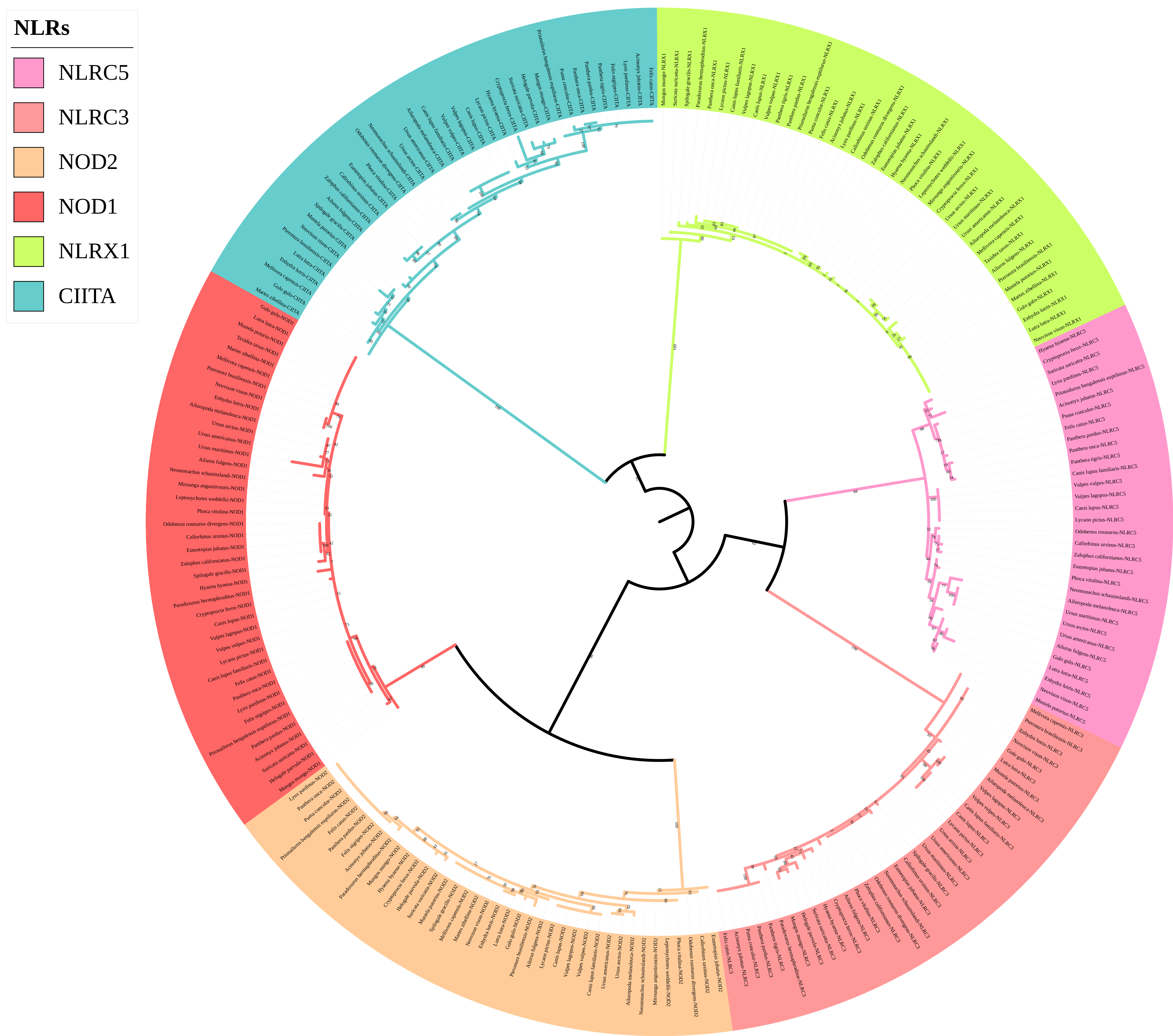 Animals 12 03331 g004 Animals 12 03331 g004