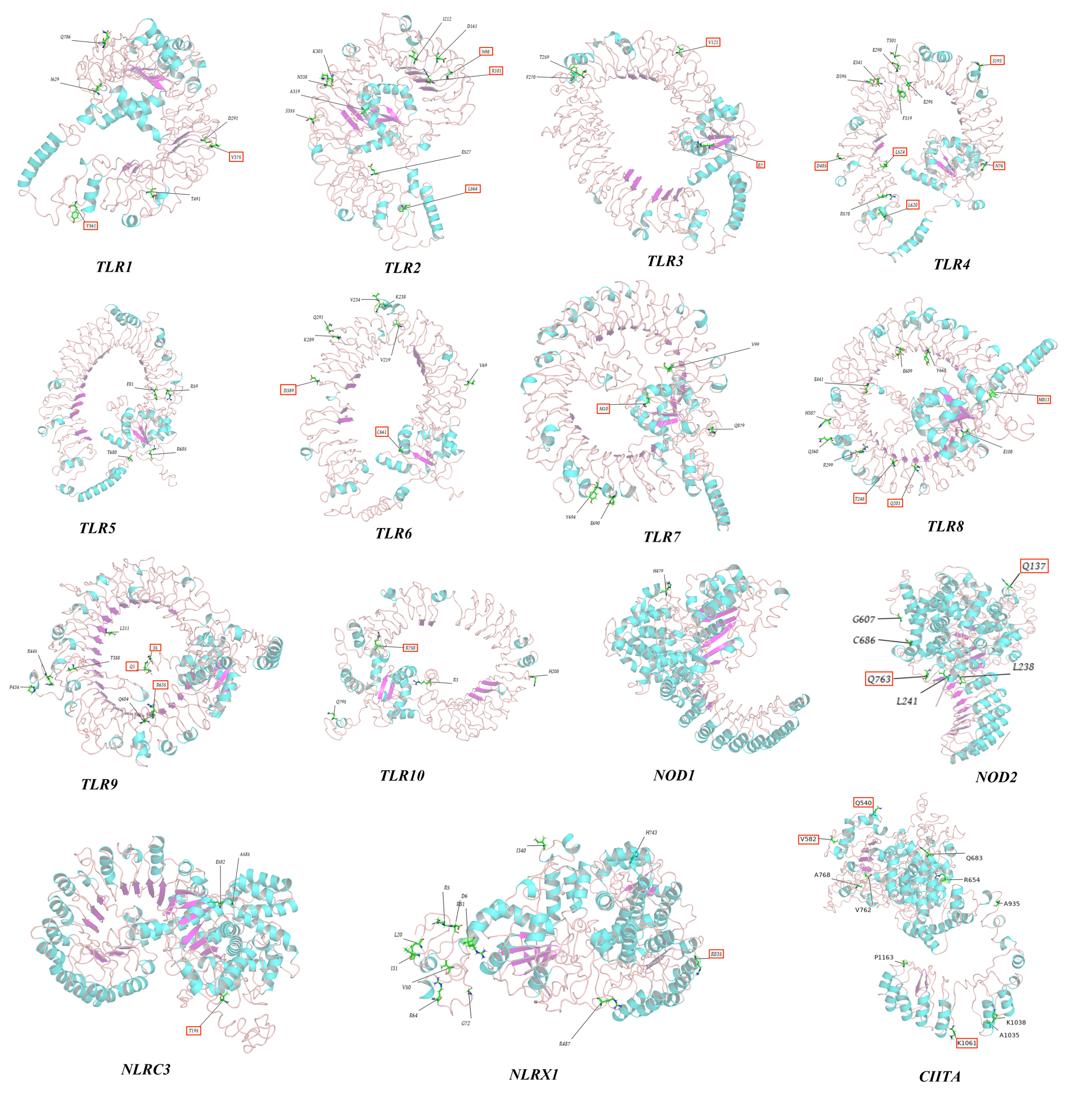 Animals 12 03331 g008 Animals 12 03331 g008