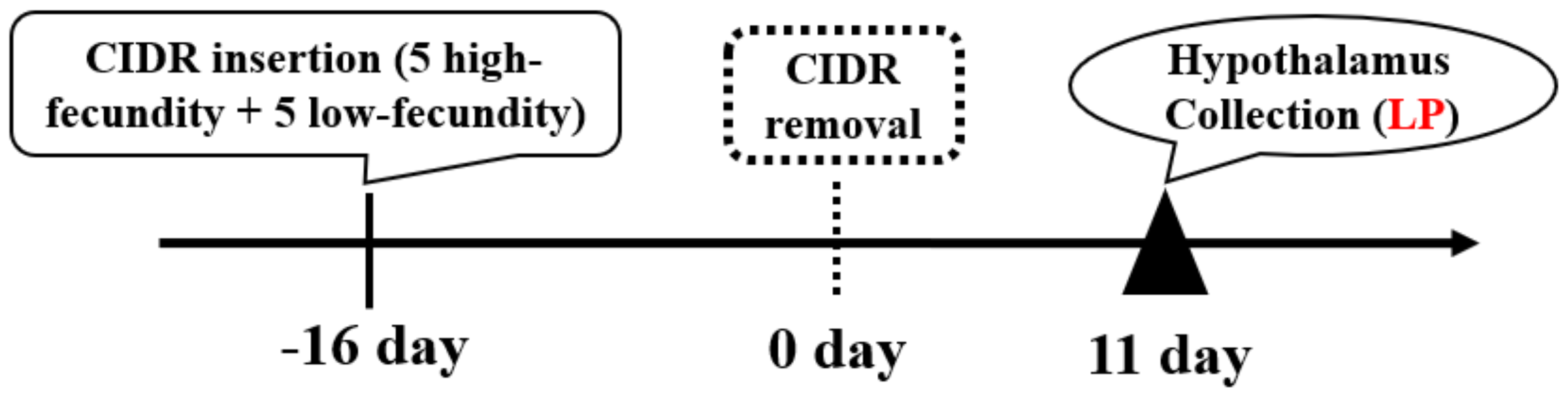 Animals 12 03397 g001