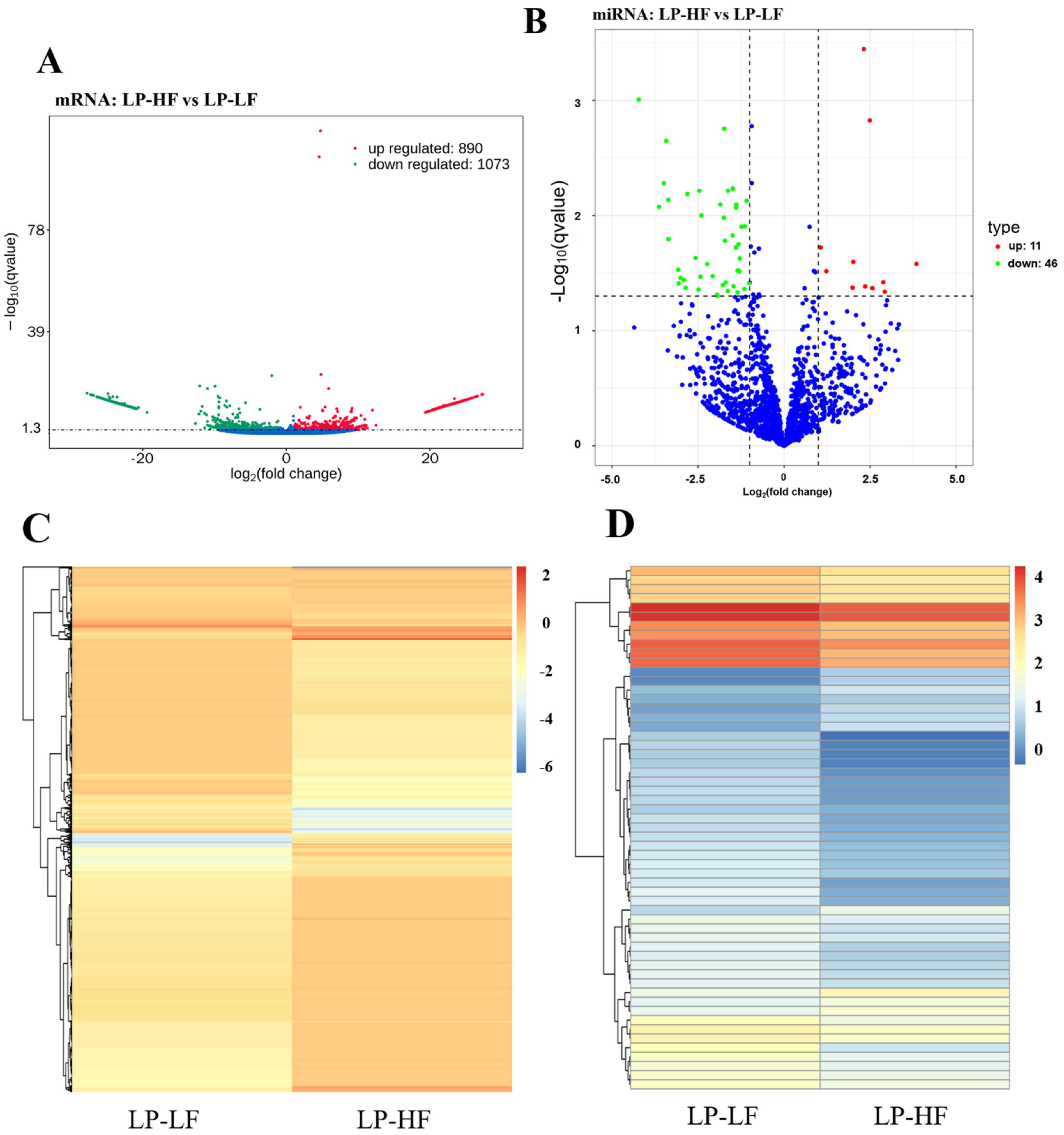 Animals 12 03397 g004