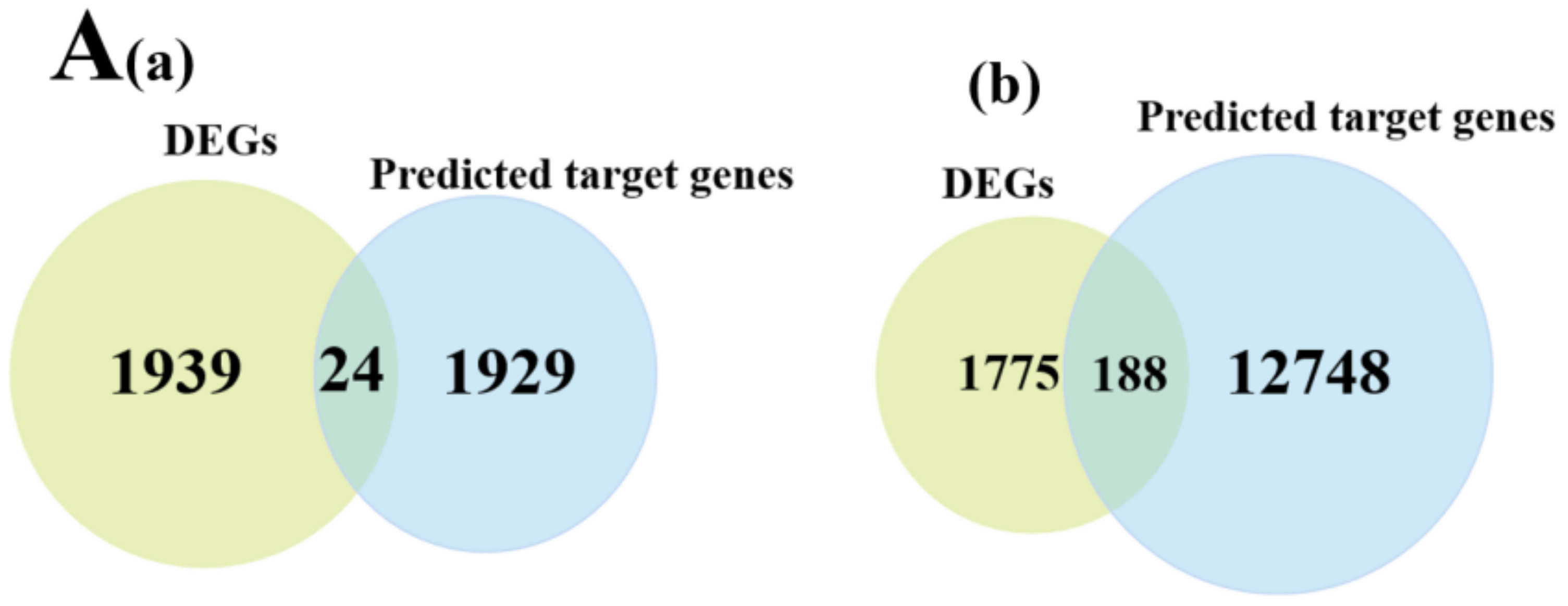 Animals 12 03397 g007a