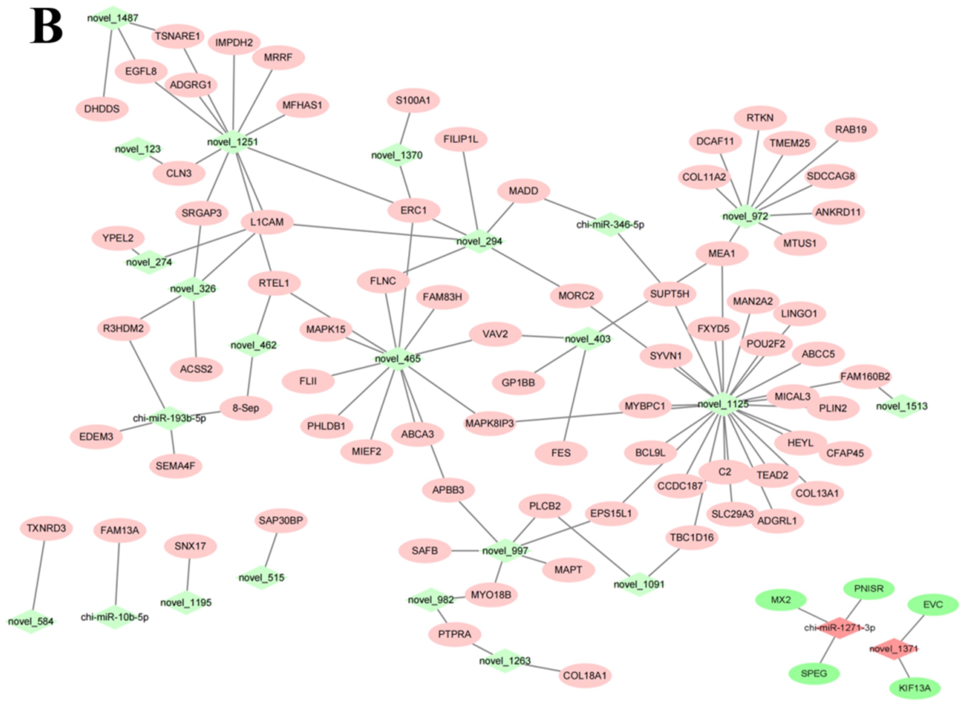 Animals 12 03397 g007b