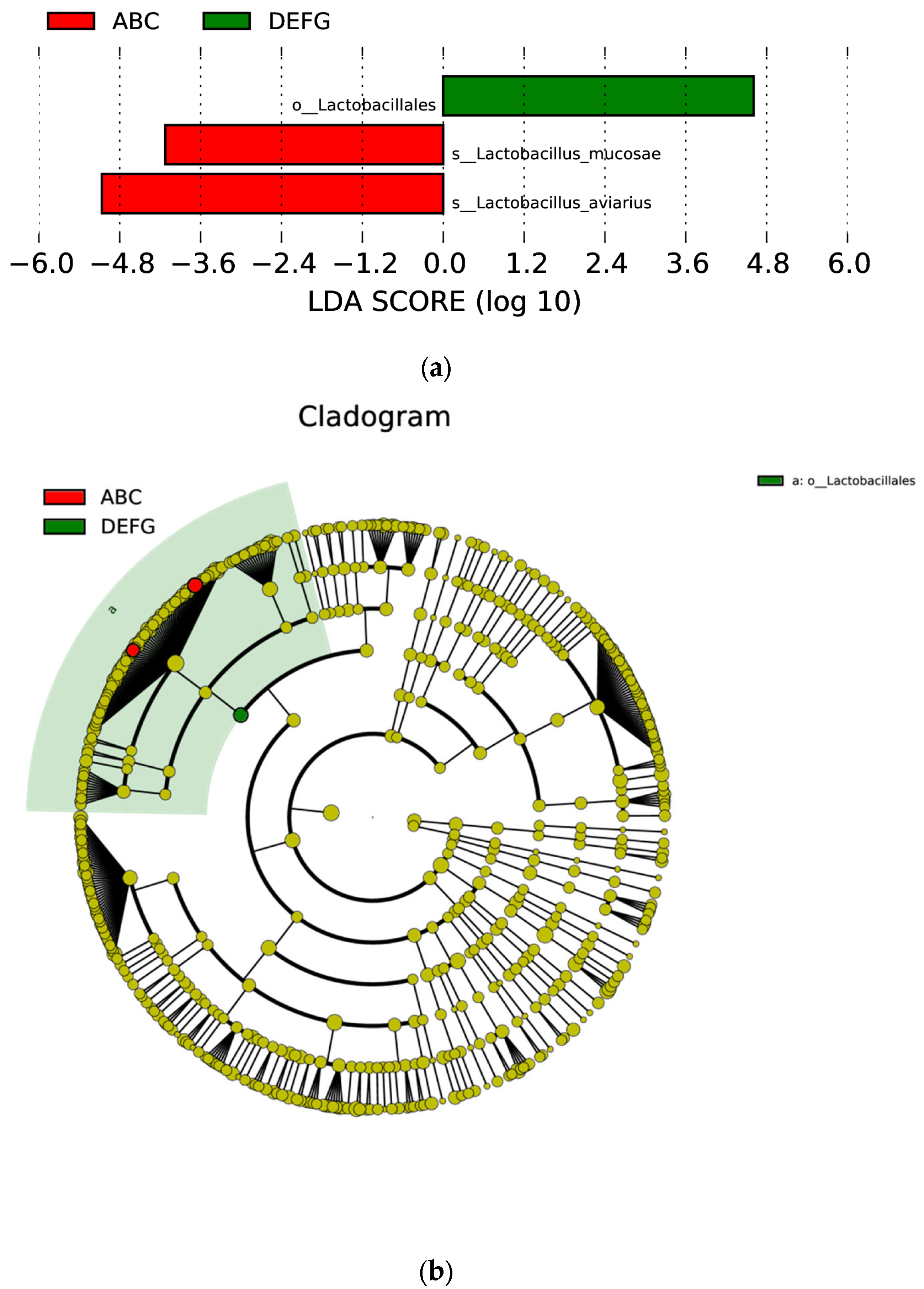Animals 12 03404 g012