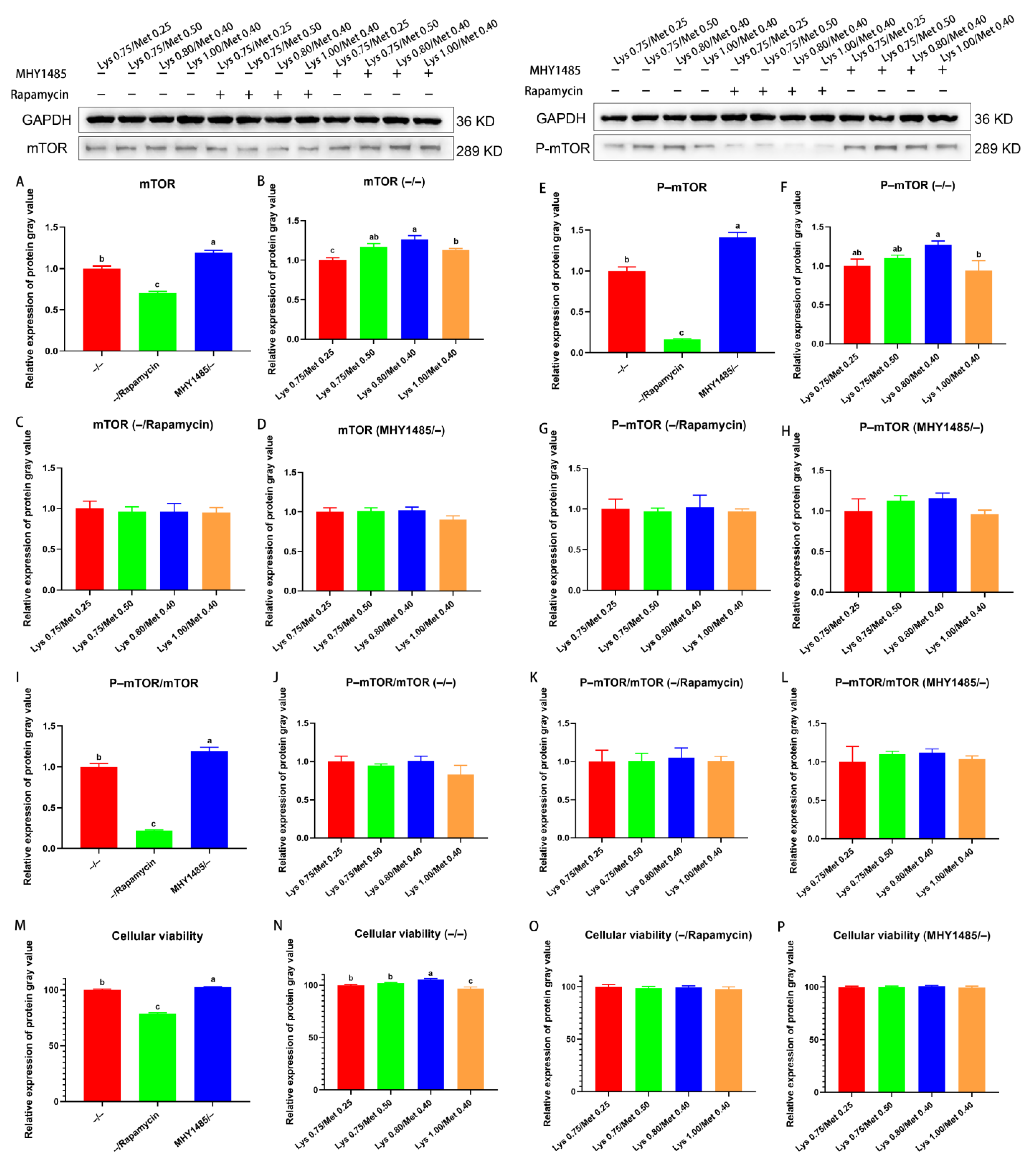 Animals 12 03406 g004