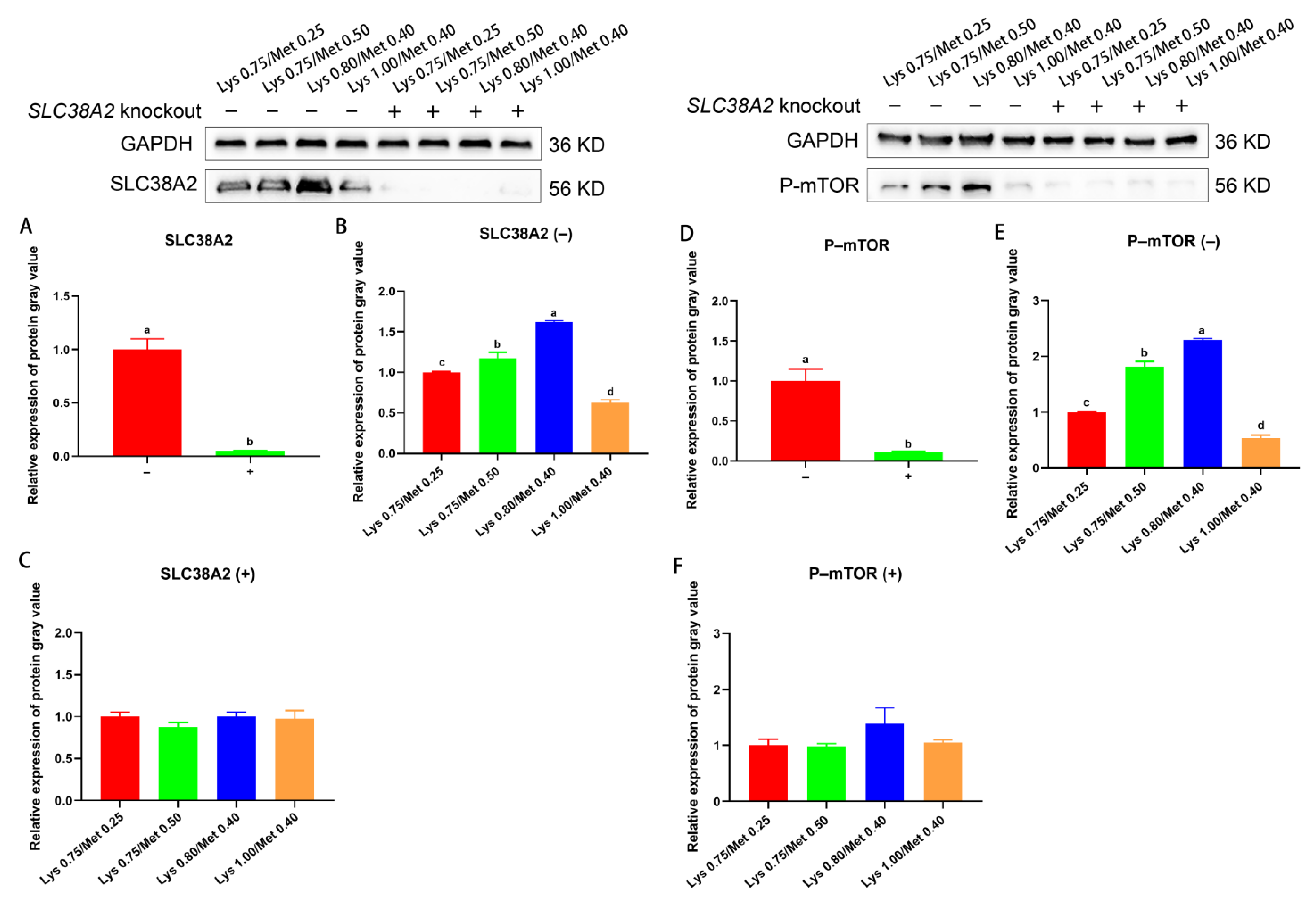 Animals 12 03406 g005