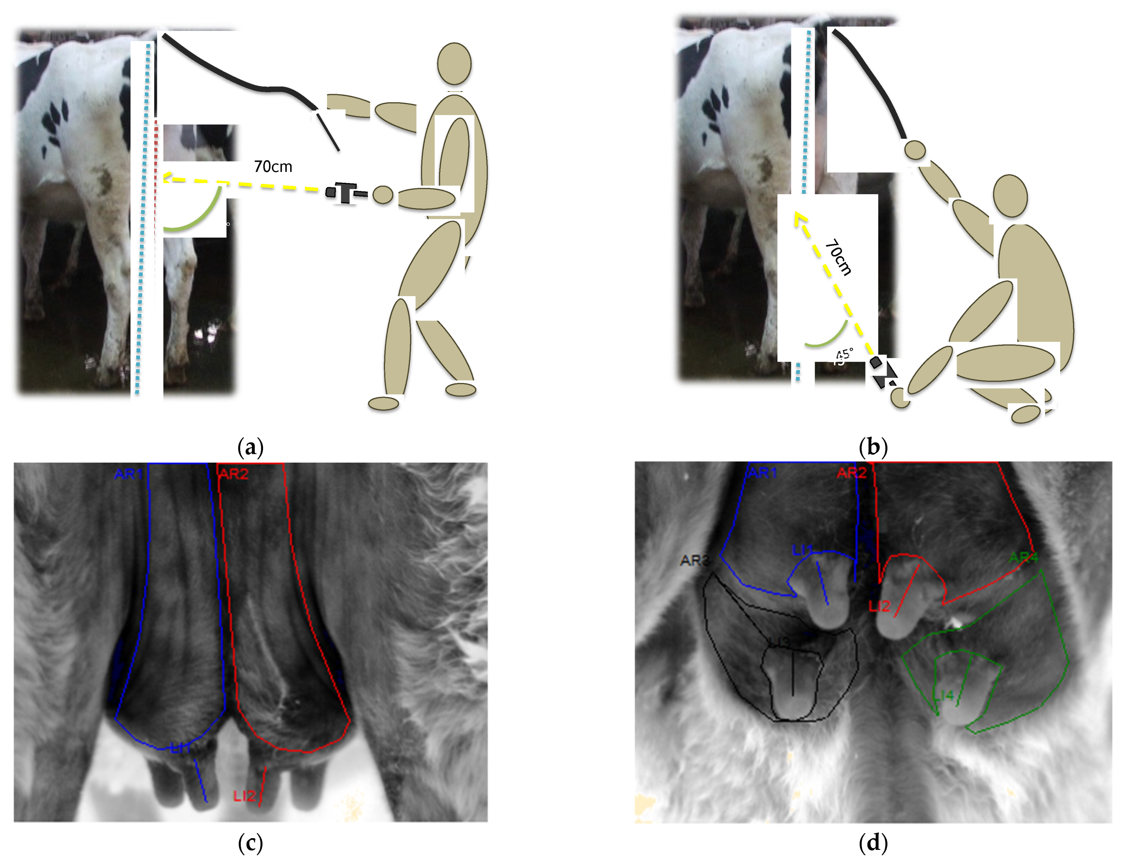 Animals 12 03410 g001 Animals 12 03410 g001