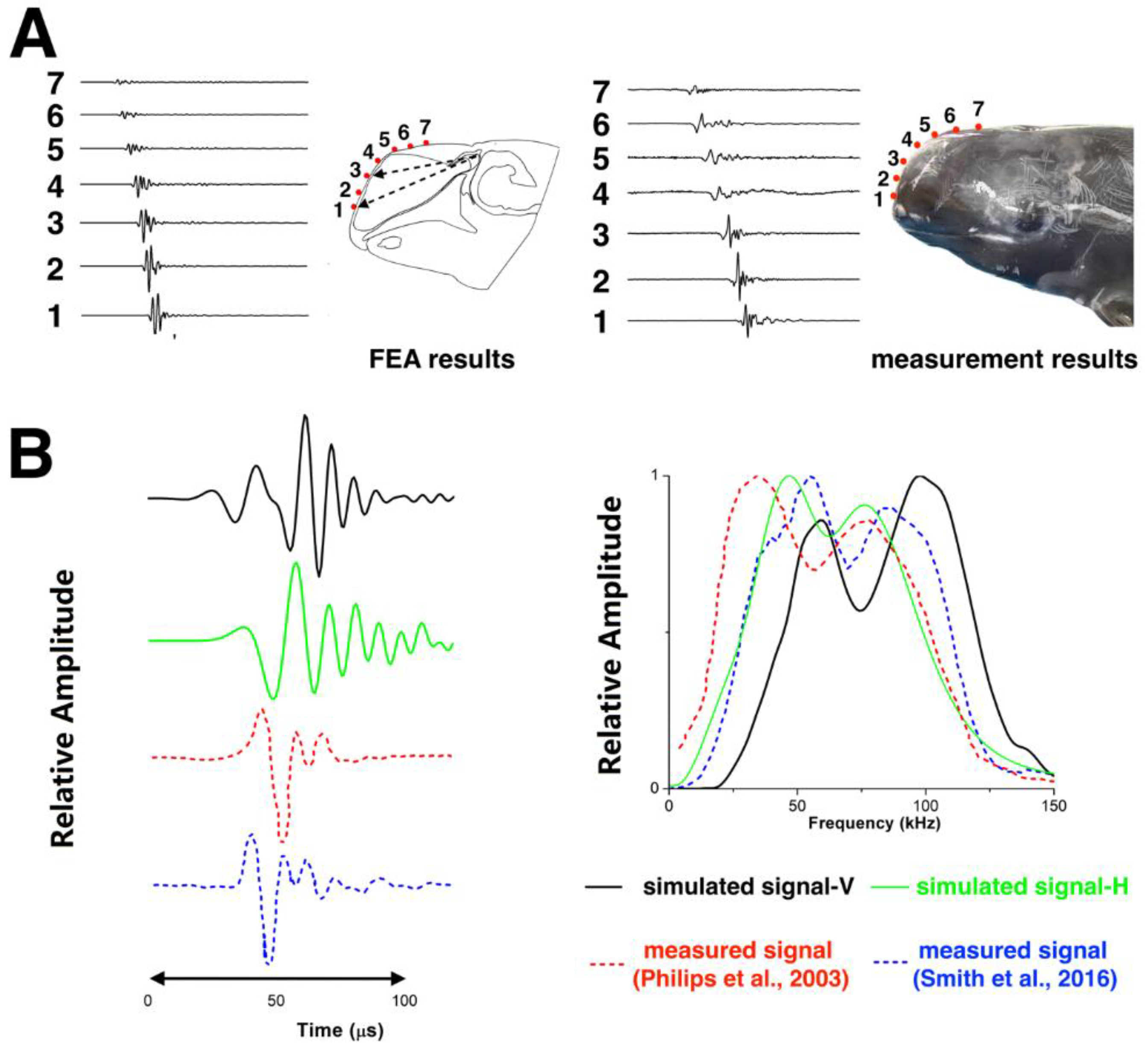 Animals 12 03472 g004