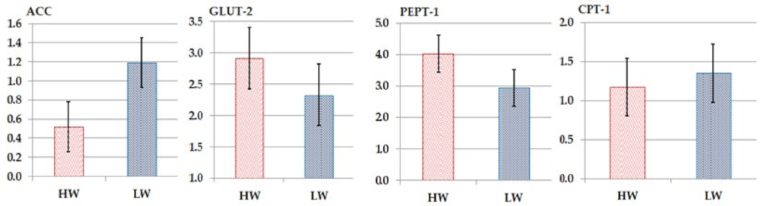 Animals 12 03474 g002