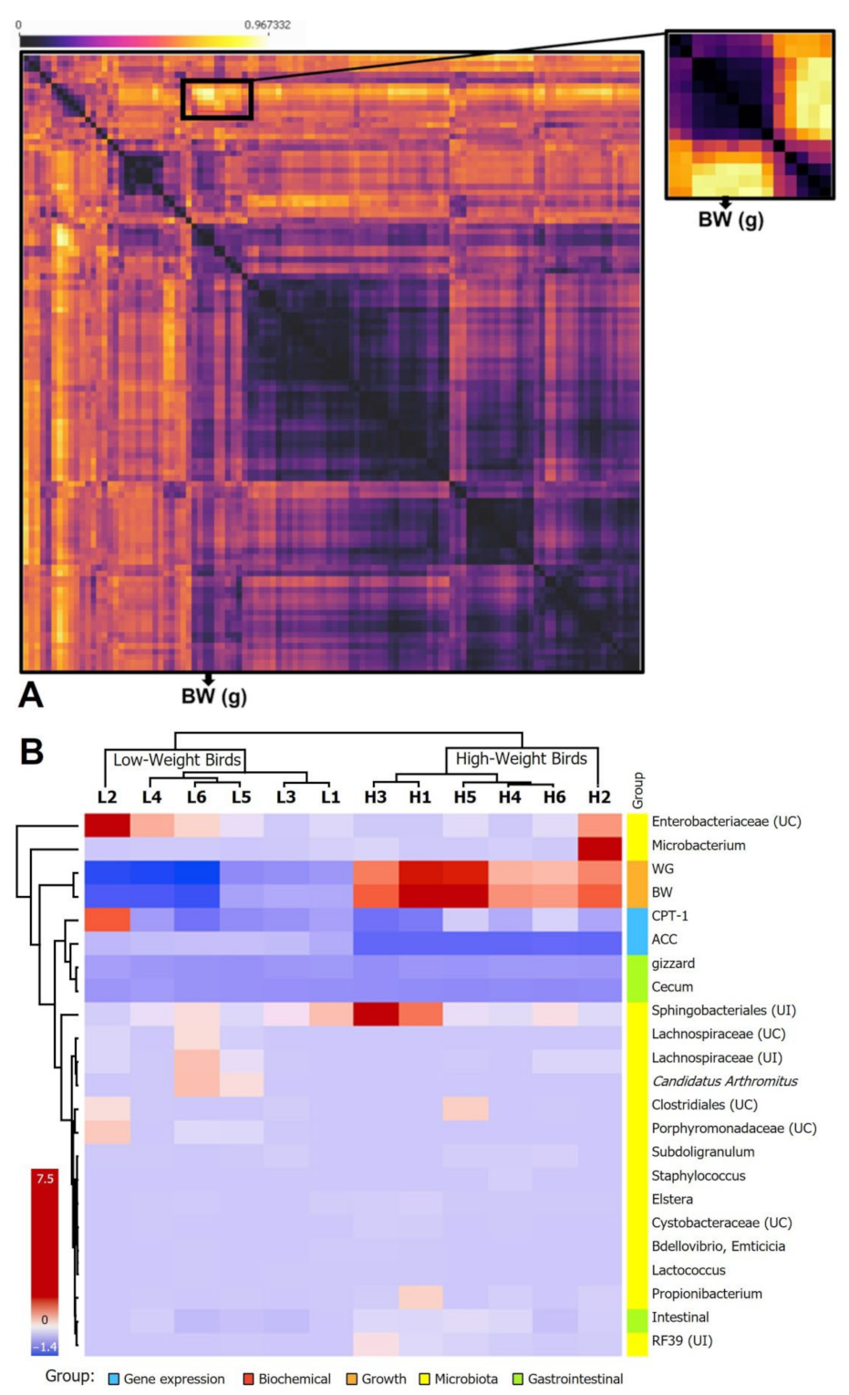 Animals 12 03474 g006