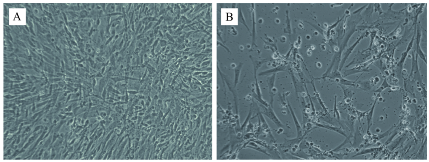 Animals 12 03523 g003