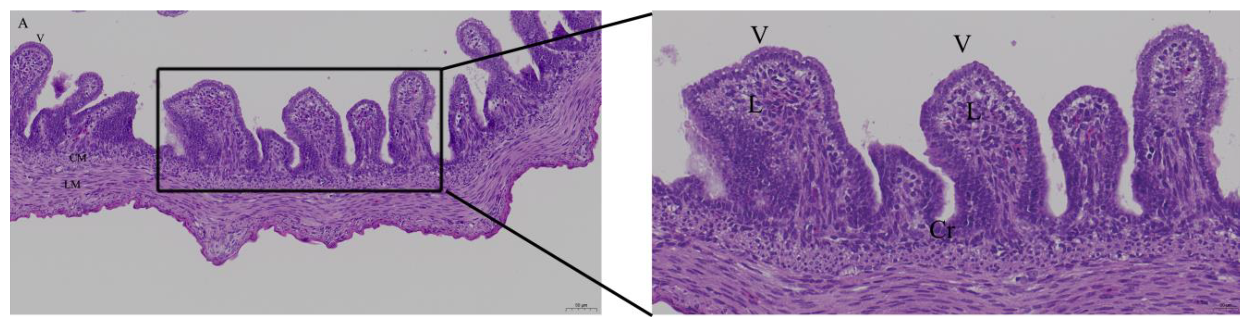 Animals 12 03524 g003a Animals 12 03524 g003a