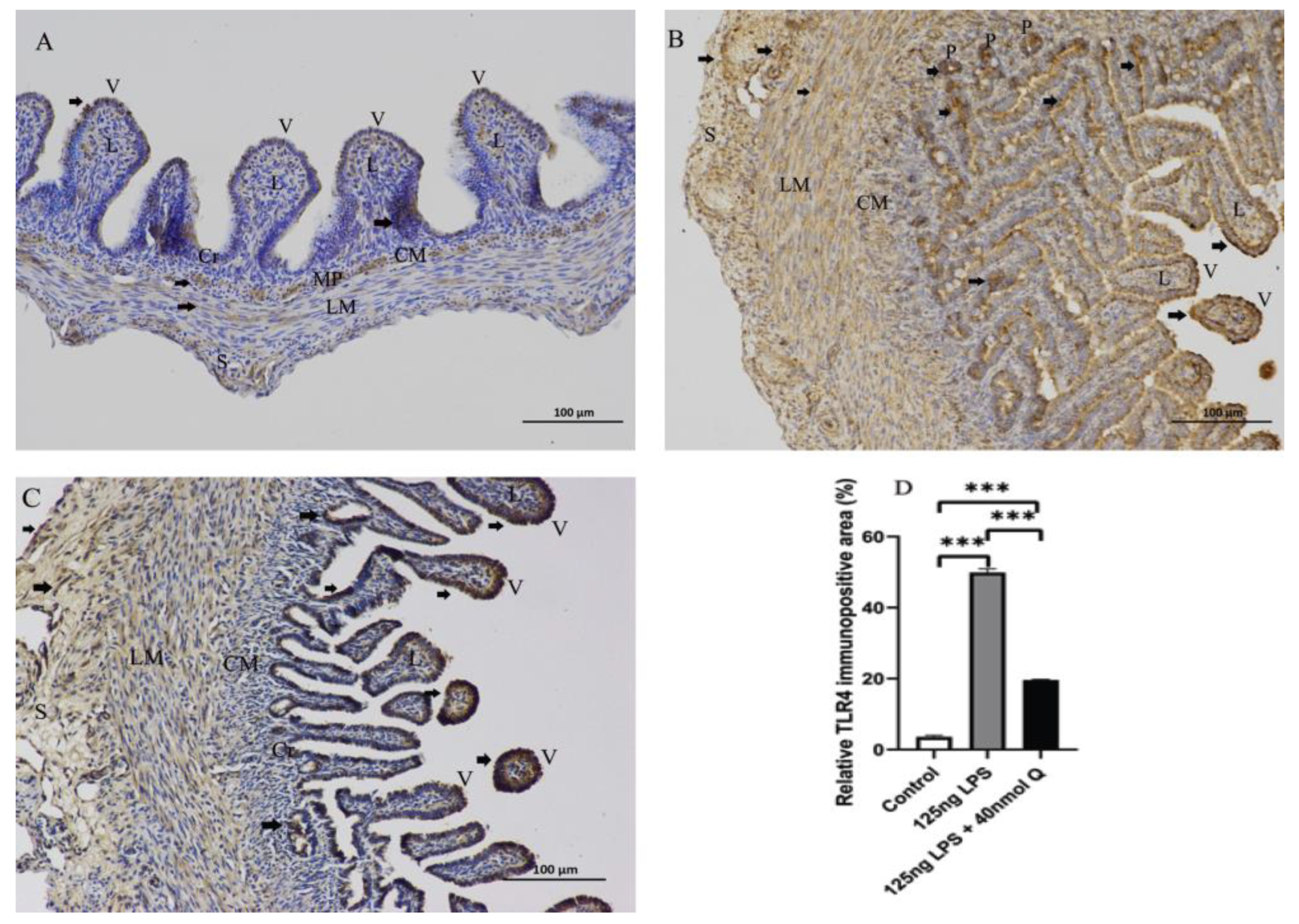 Animals 12 03524 g005 Animals 12 03524 g005