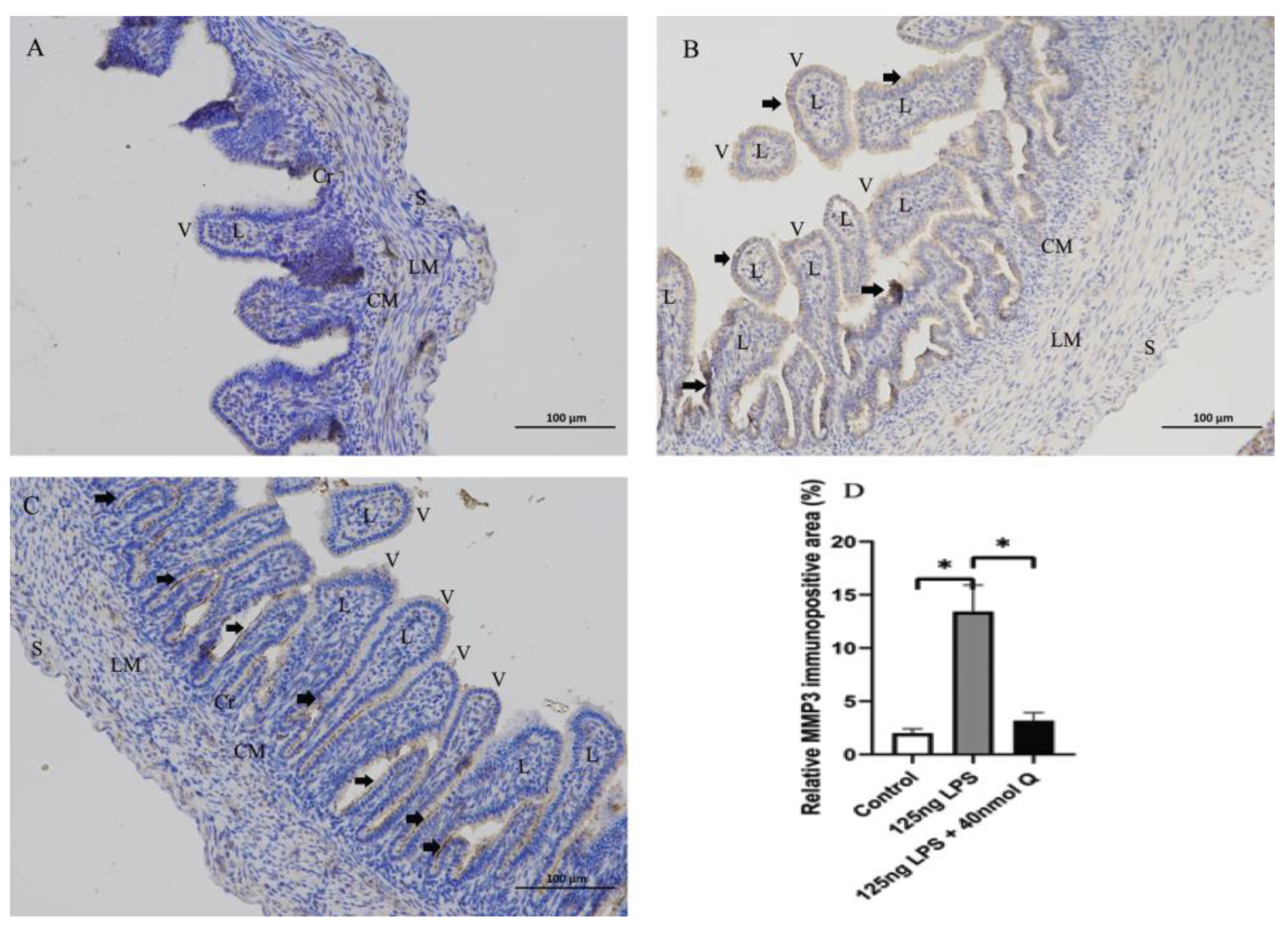 Animals 12 03524 g006 Animals 12 03524 g006
