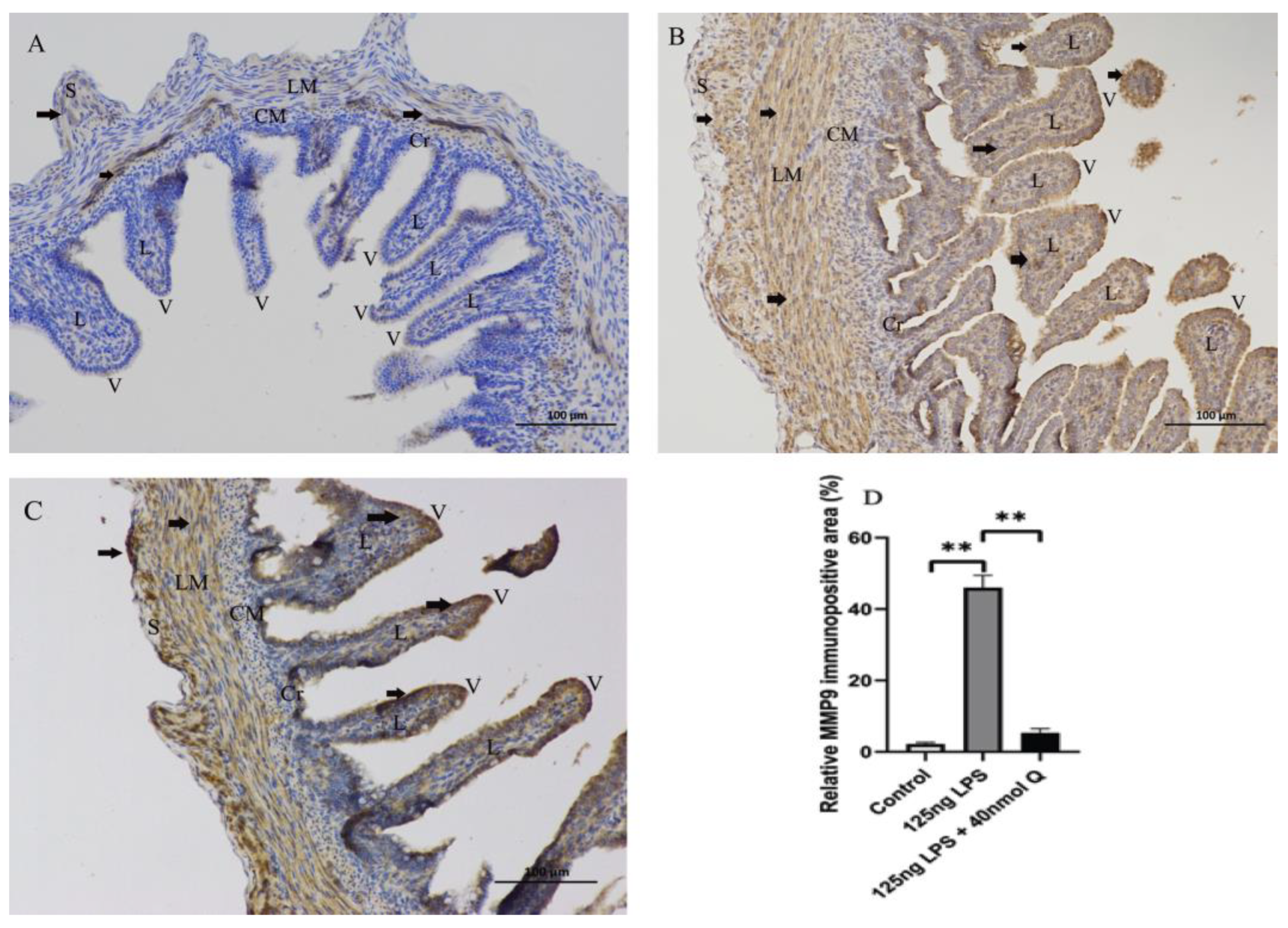 Animals 12 03524 g007 Animals 12 03524 g007