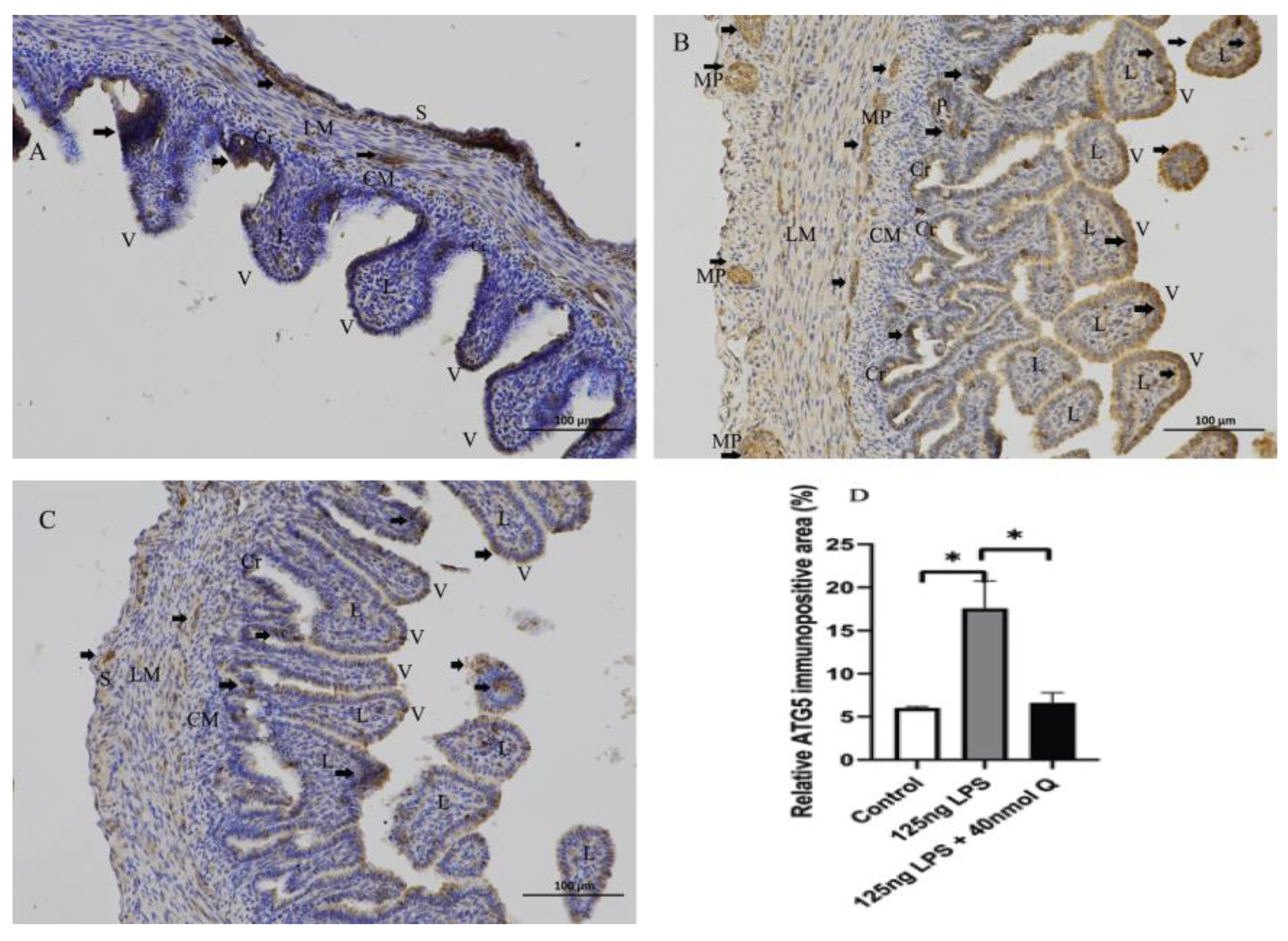 Animals 12 03524 g010 Animals 12 03524 g010