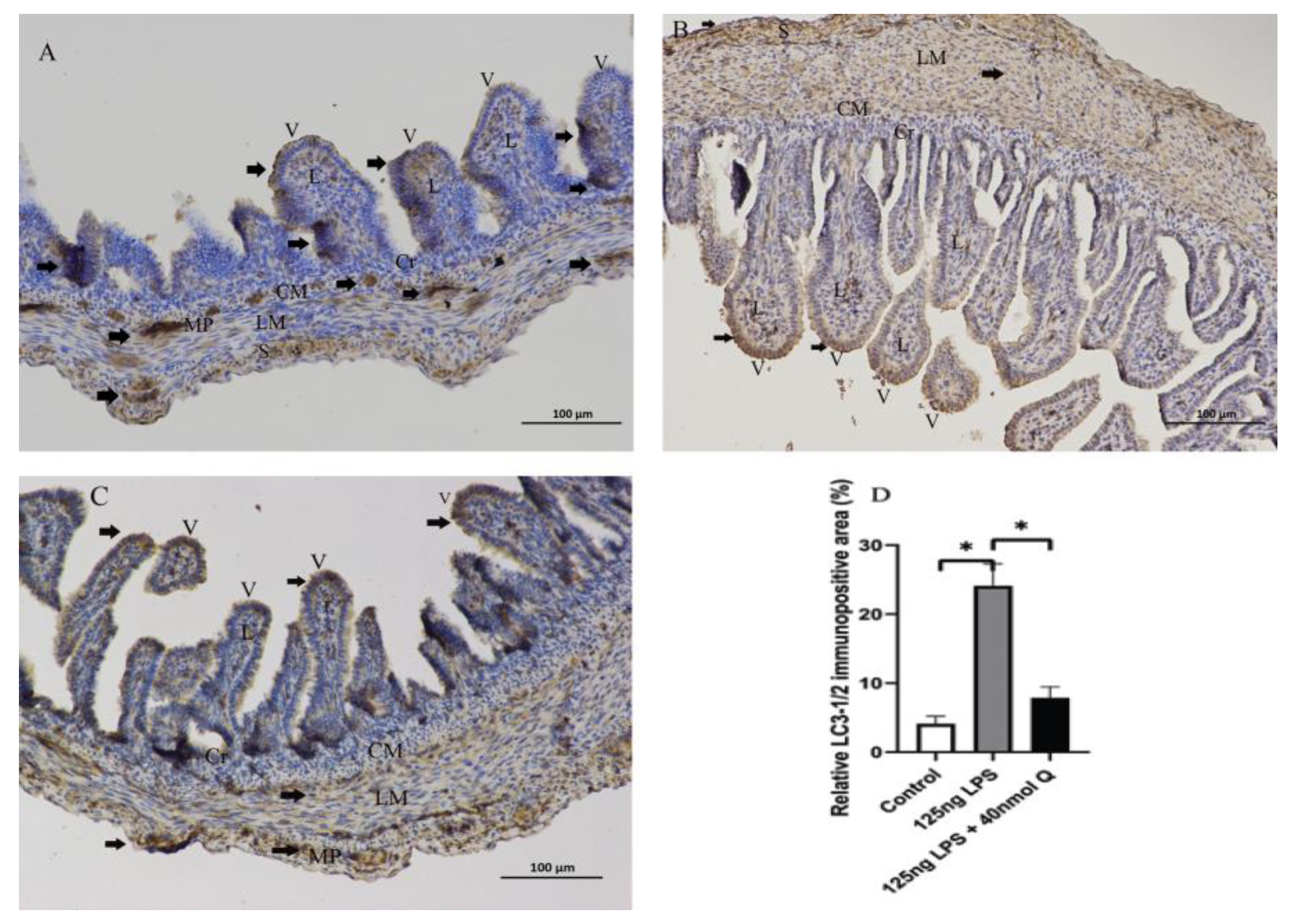 Animals 12 03524 g011 Animals 12 03524 g011
