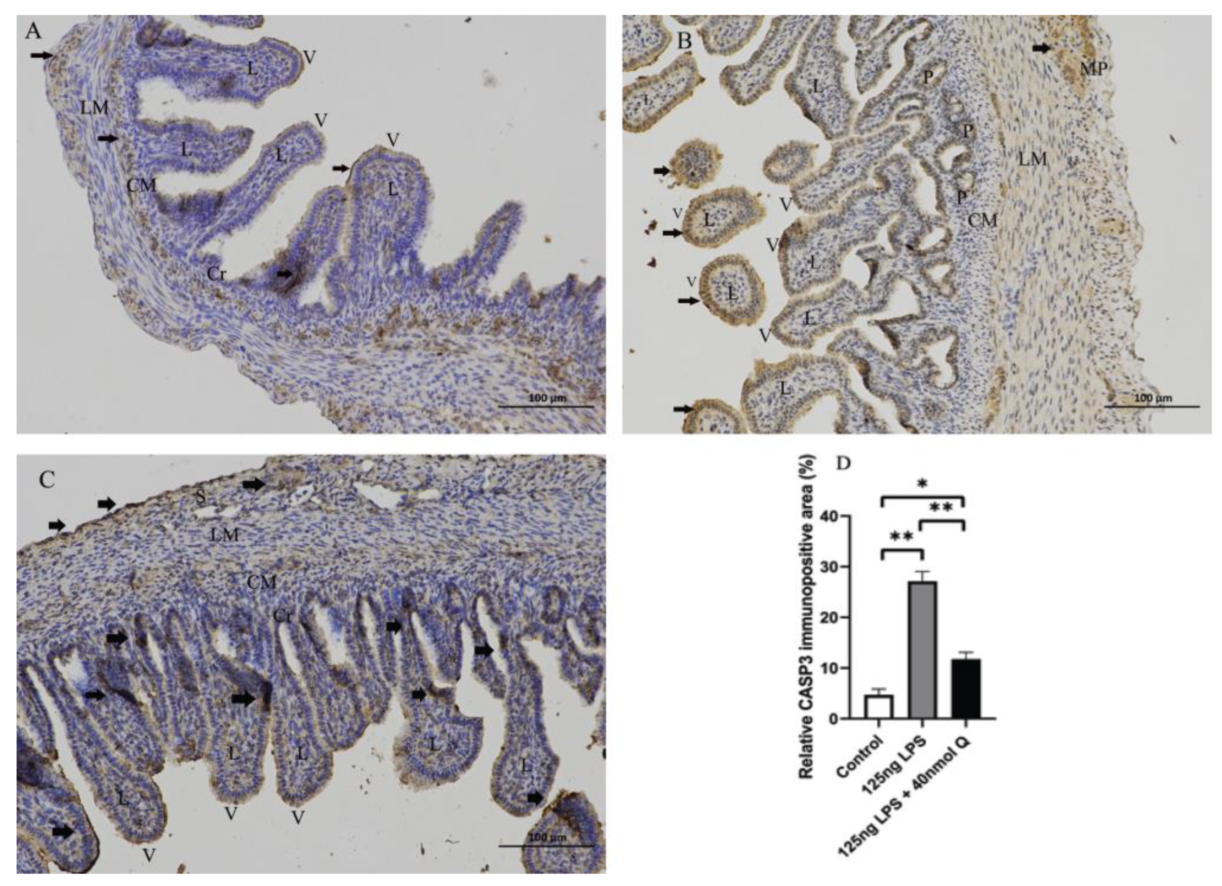 Animals 12 03524 g014 Animals 12 03524 g014