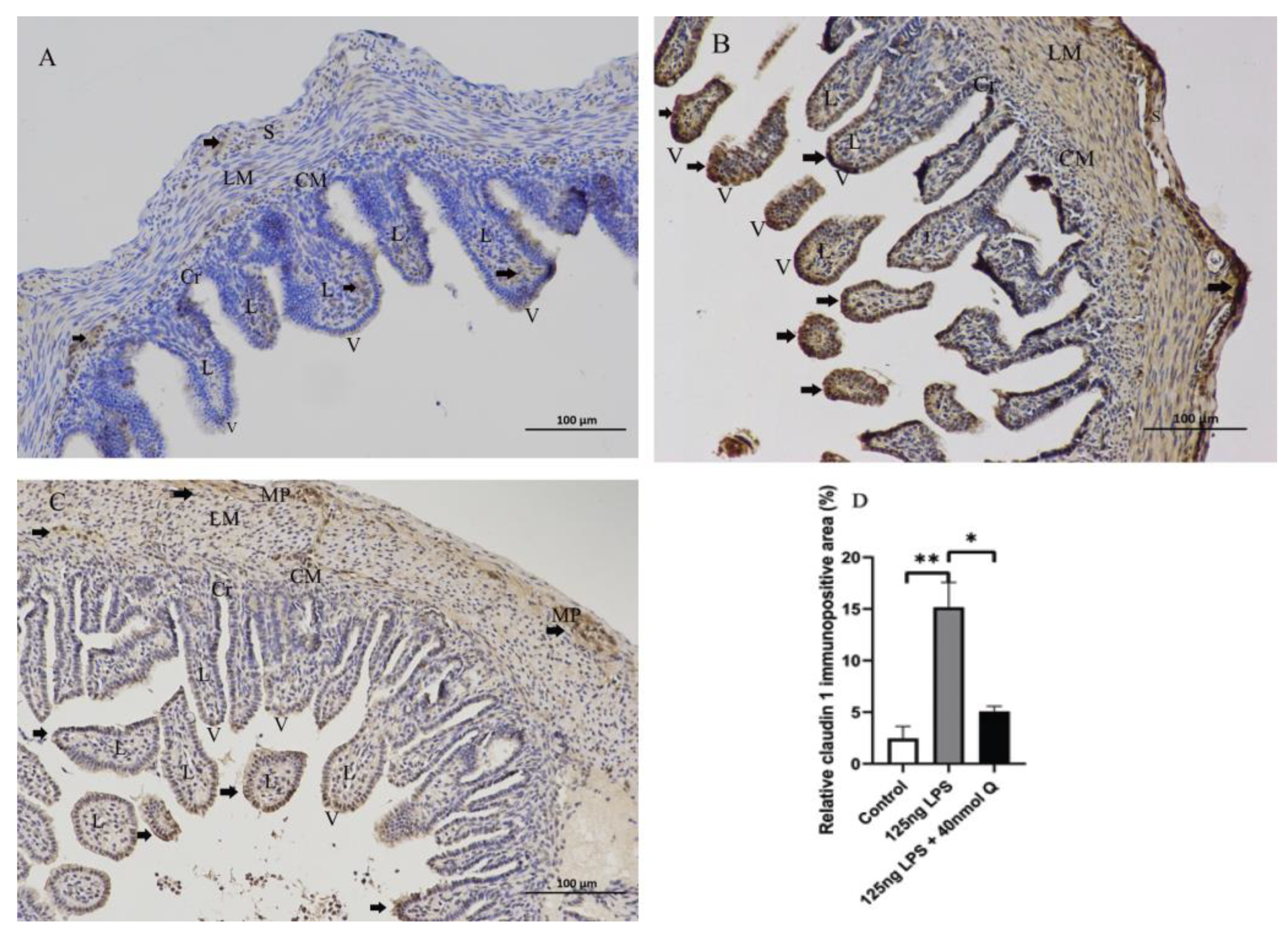 Animals 12 03524 g017 Animals 12 03524 g017