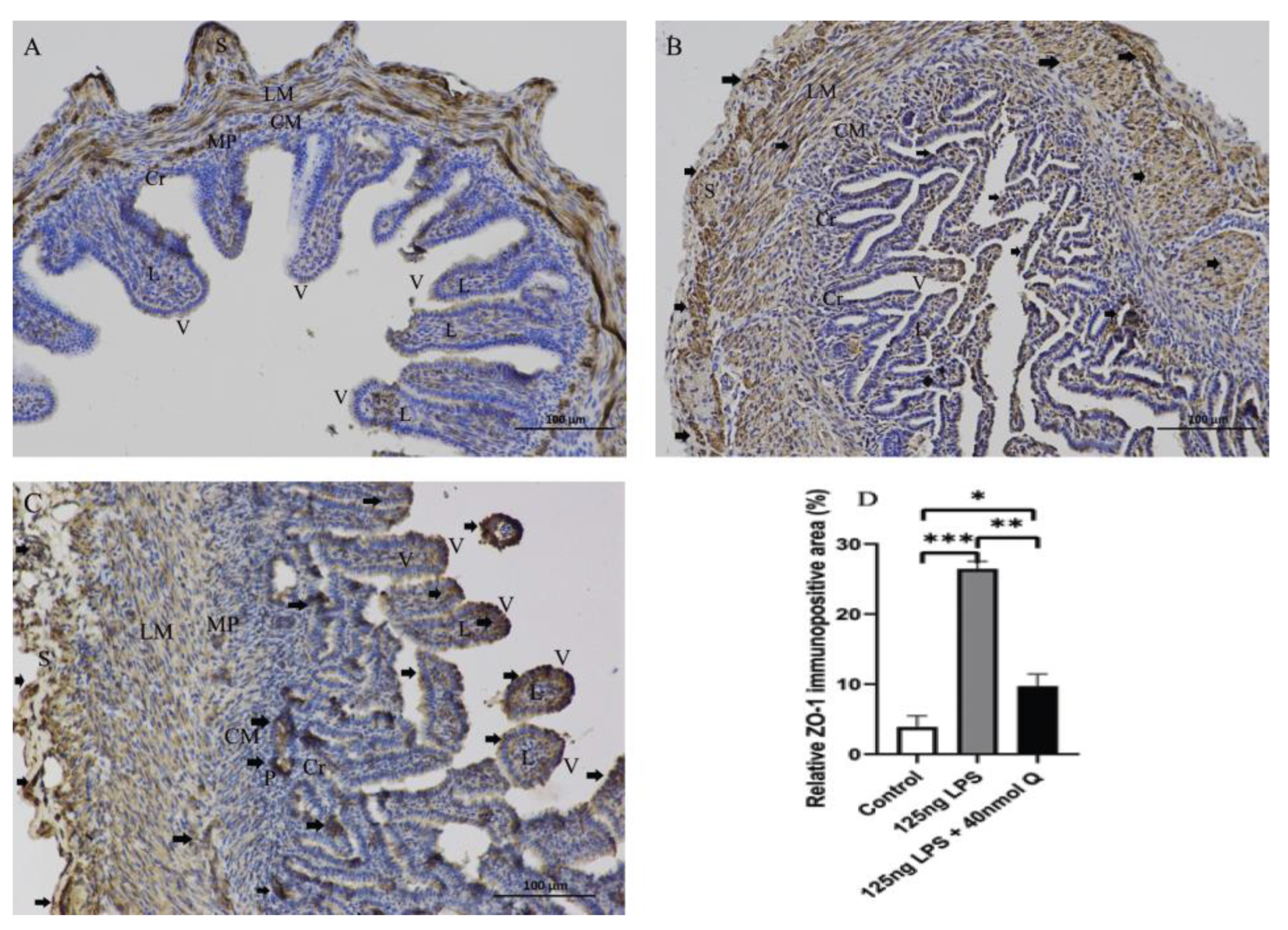 Animals 12 03524 g018 Animals 12 03524 g018