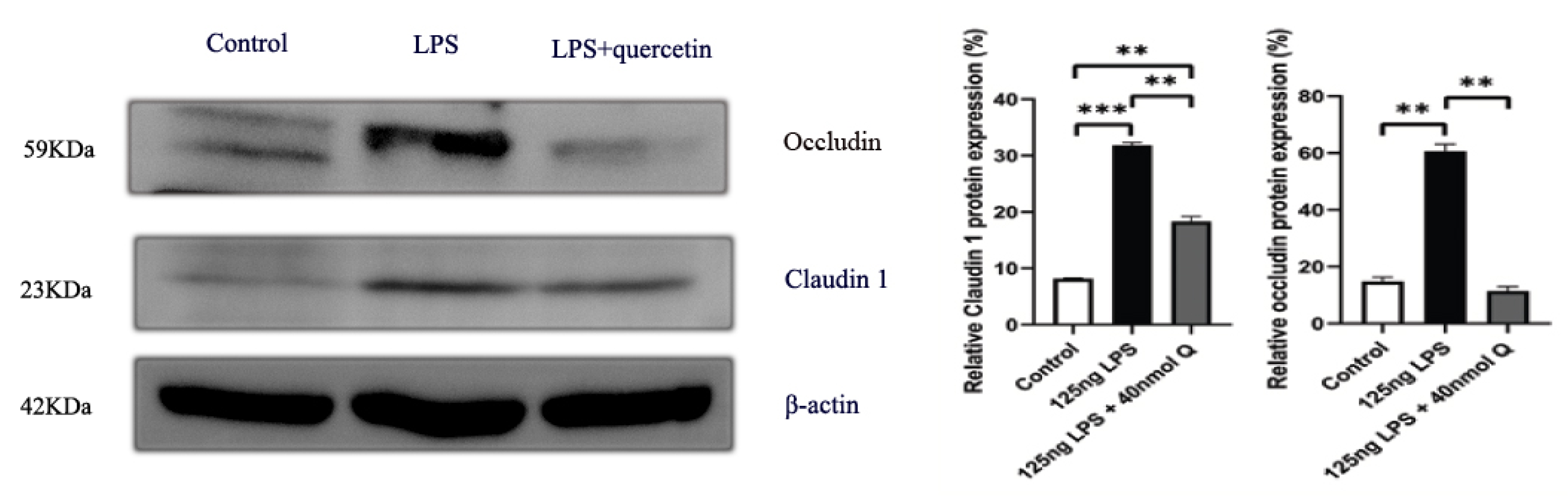 Animals 12 03524 g019 Animals 12 03524 g019